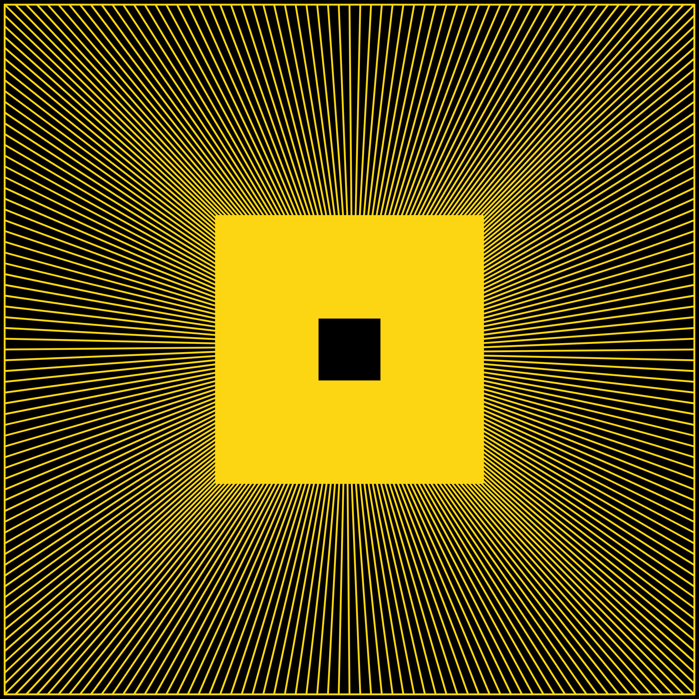 FOCUS #13