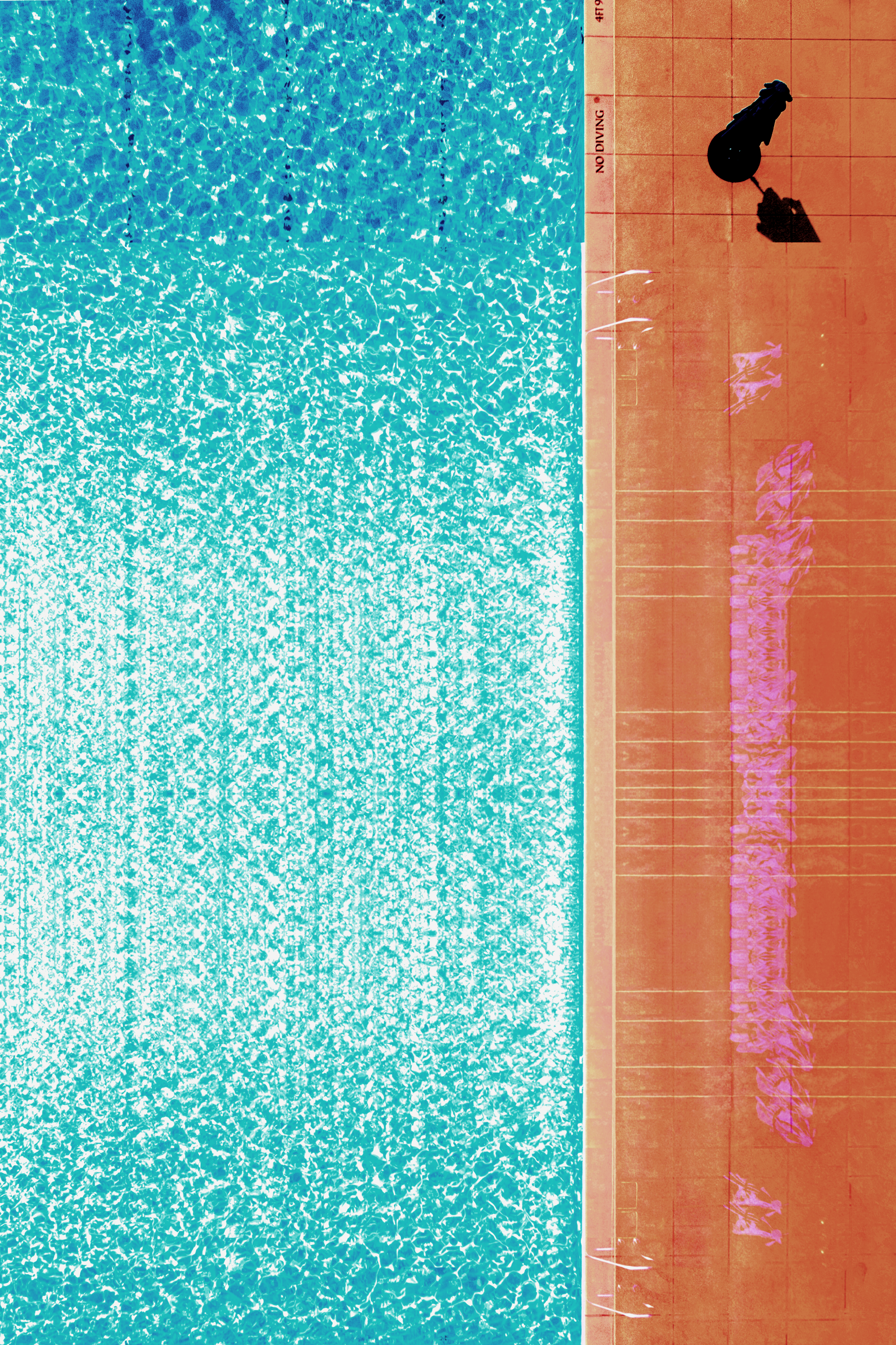 No Diving