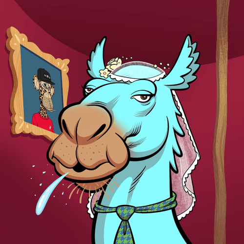 Arabian Camel #10524