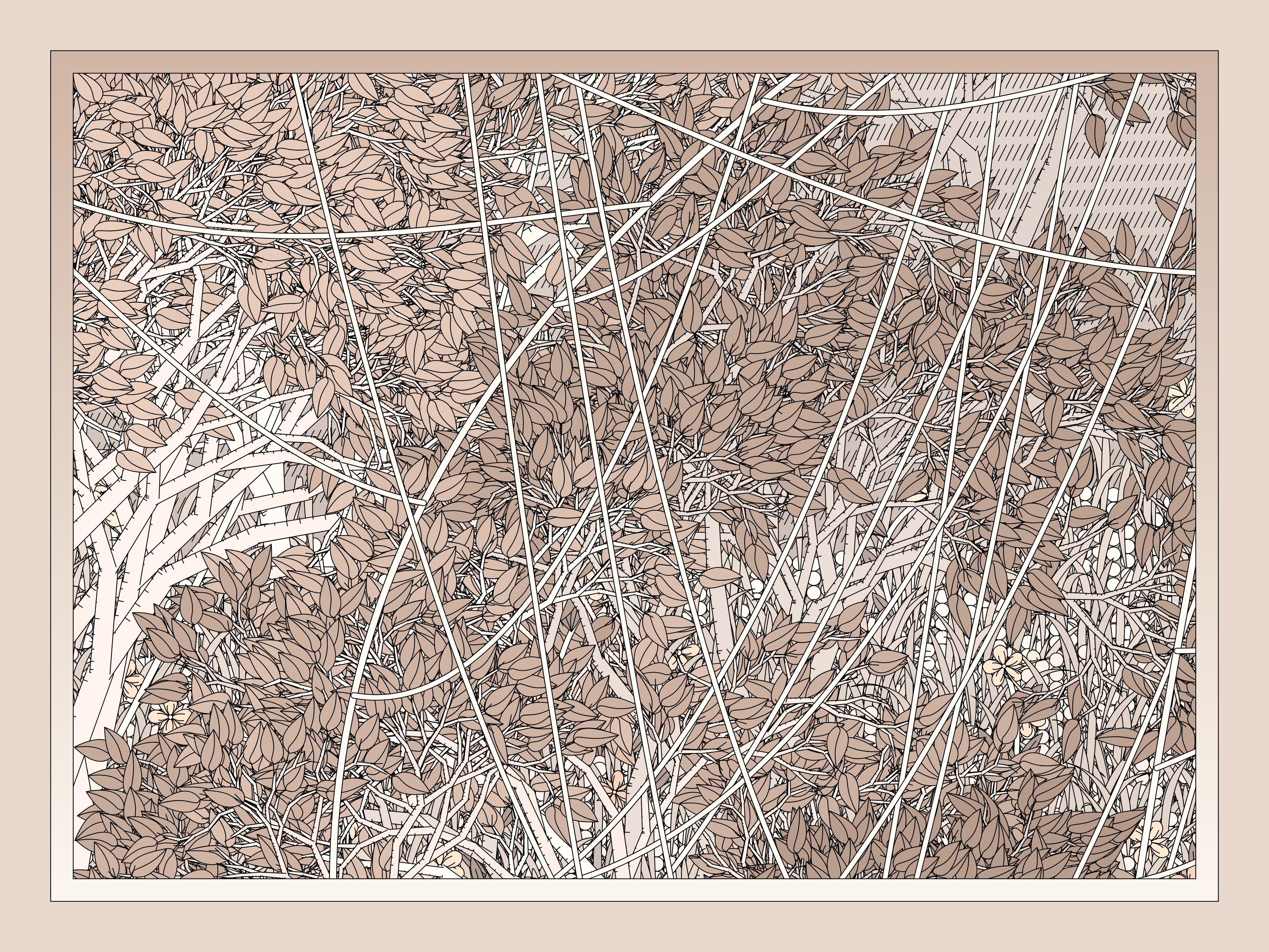 Entangled #205