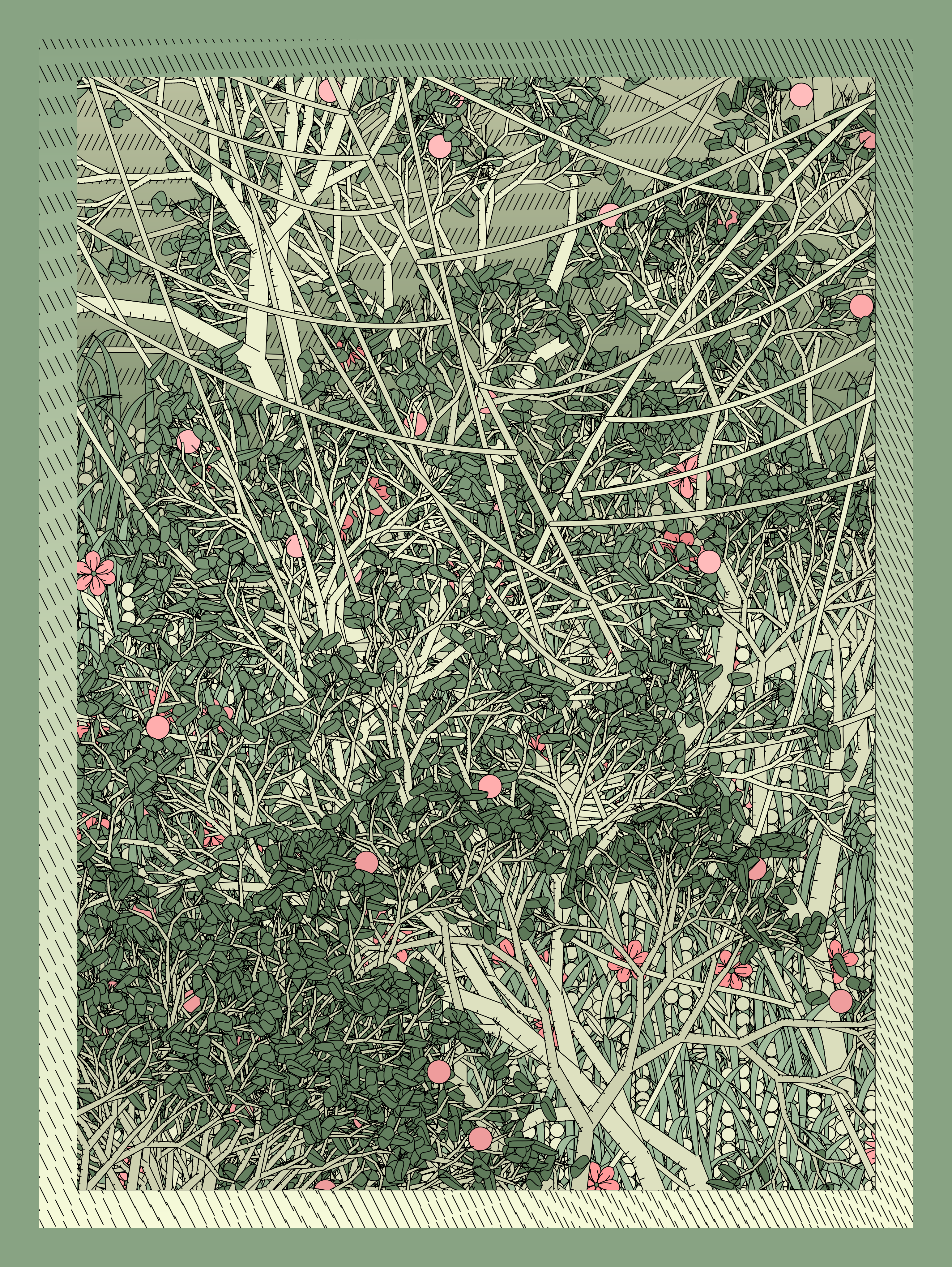 Entangled #218