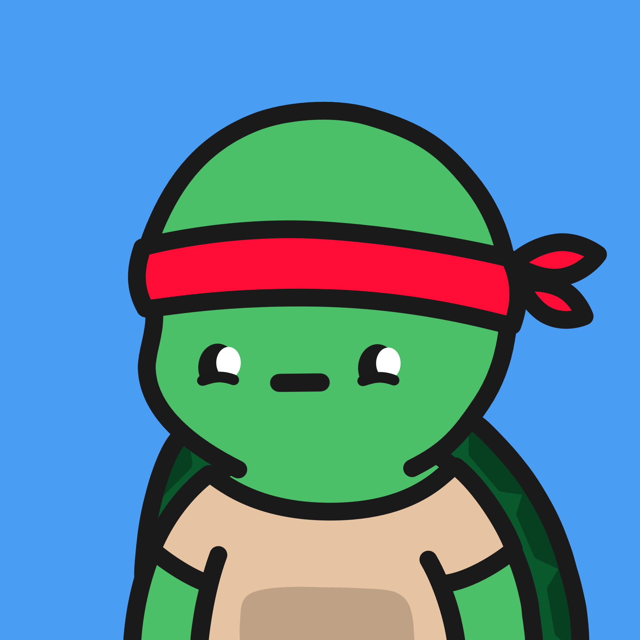 Turtle Town #5653