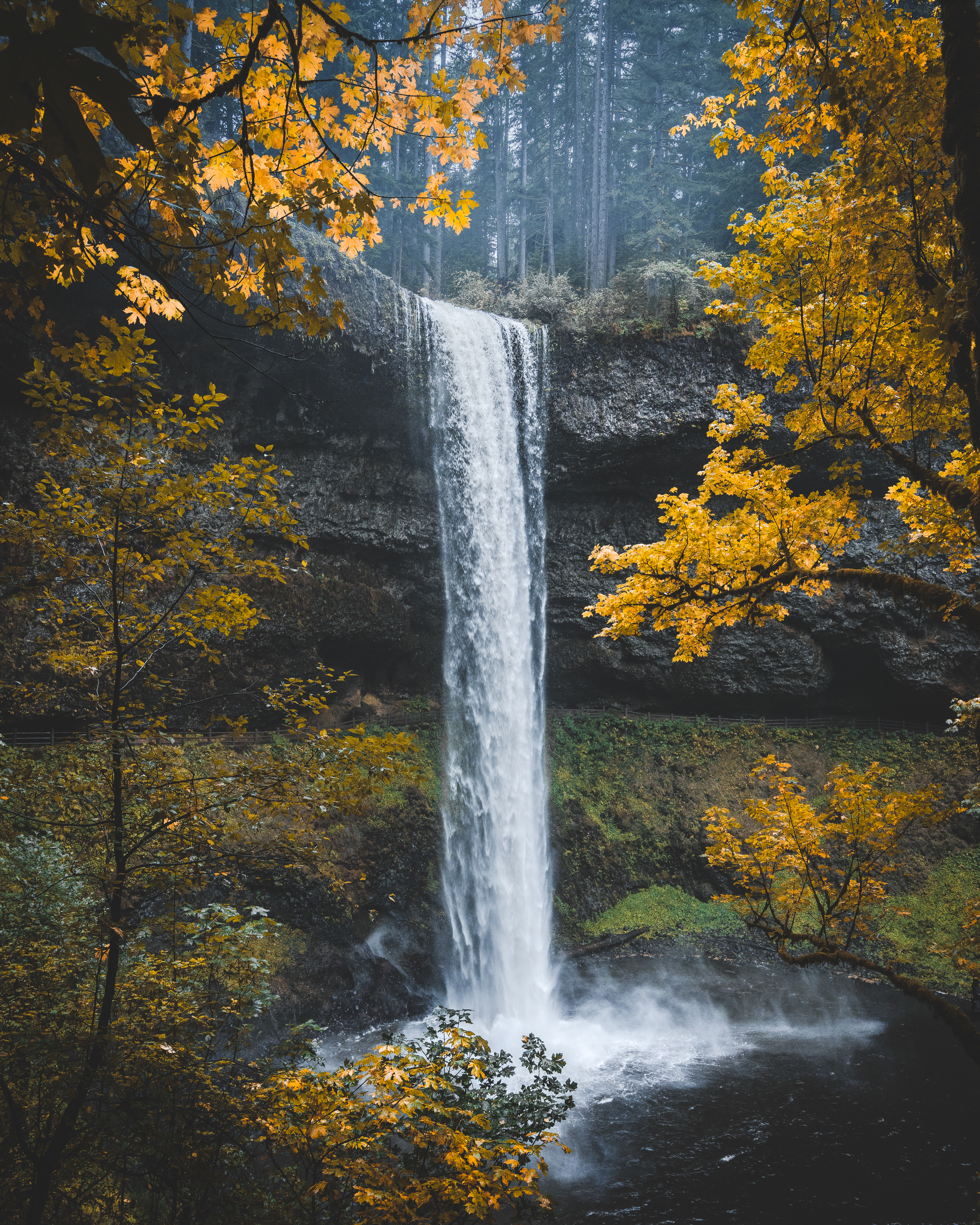 Falling for Fall