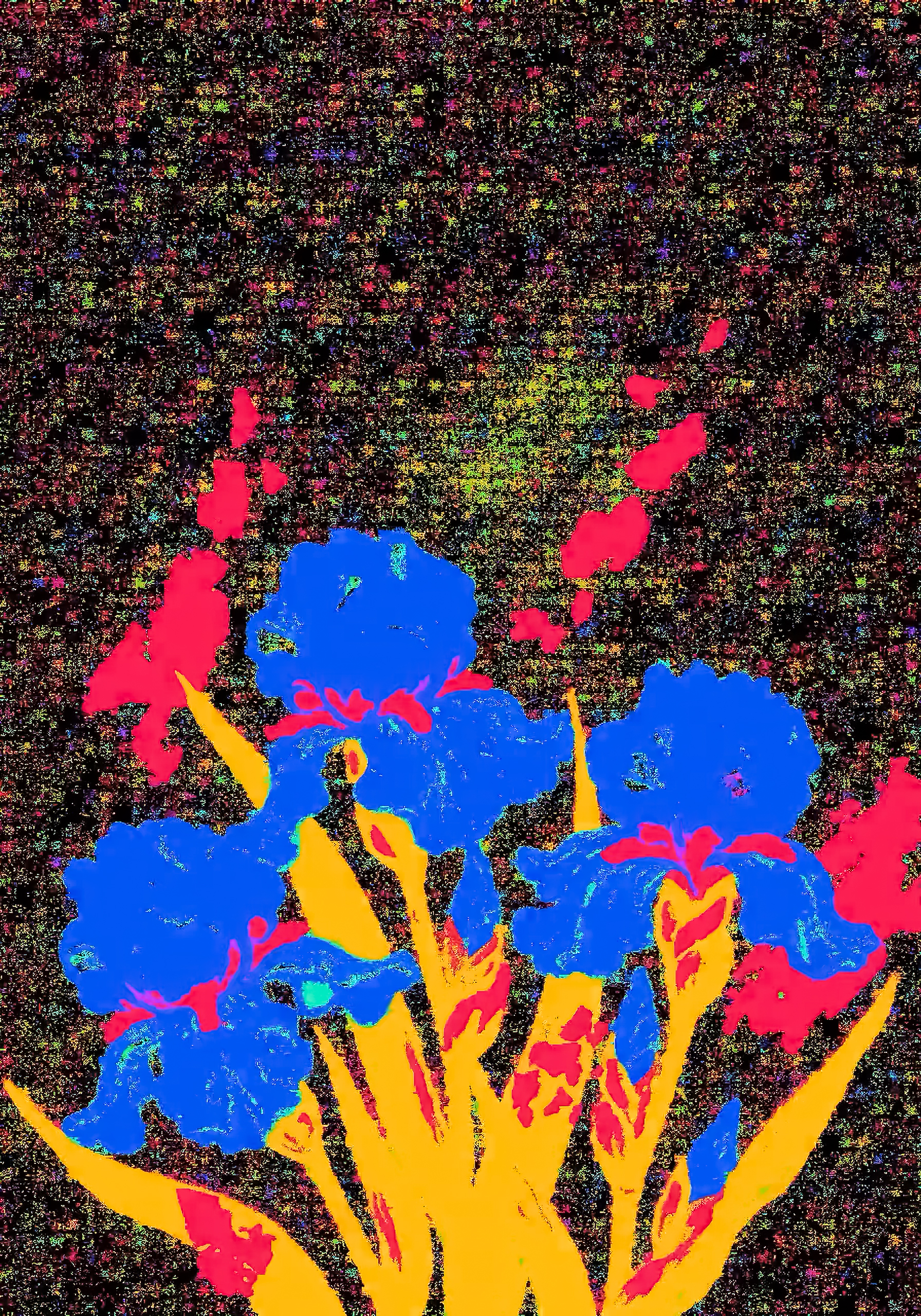 Iris Three