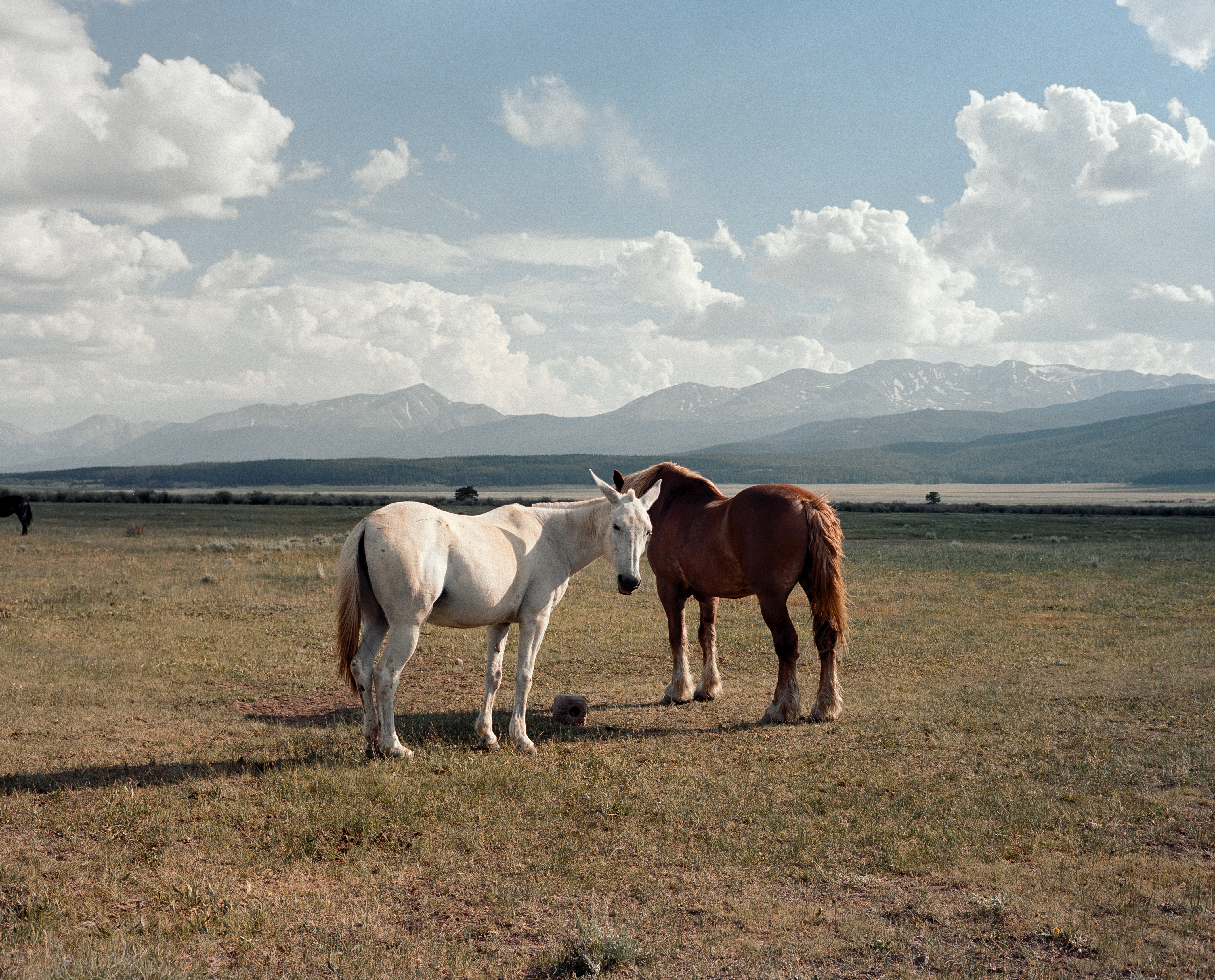 On the Ranch