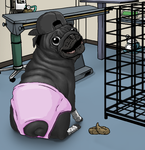 Pampered Pugs #240