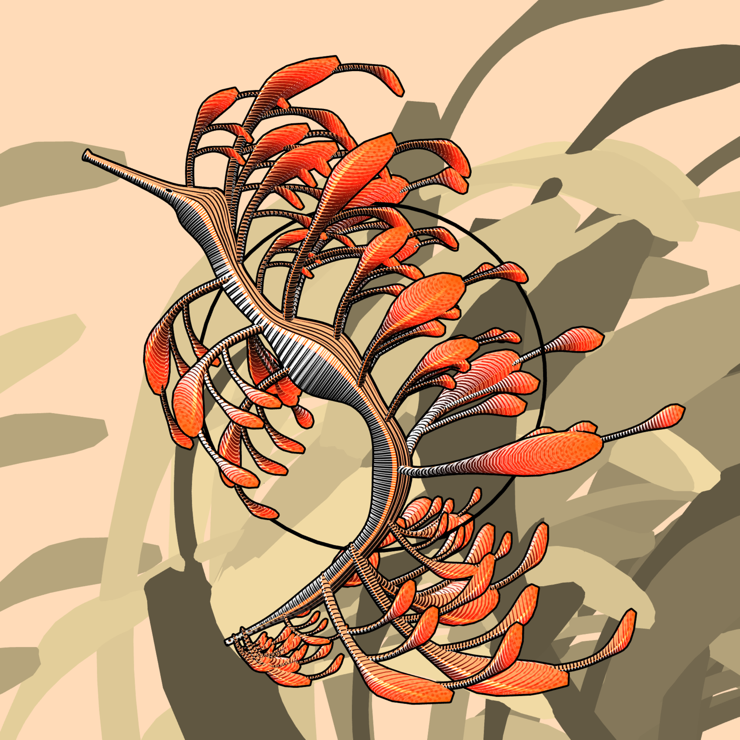 Seadragons #108