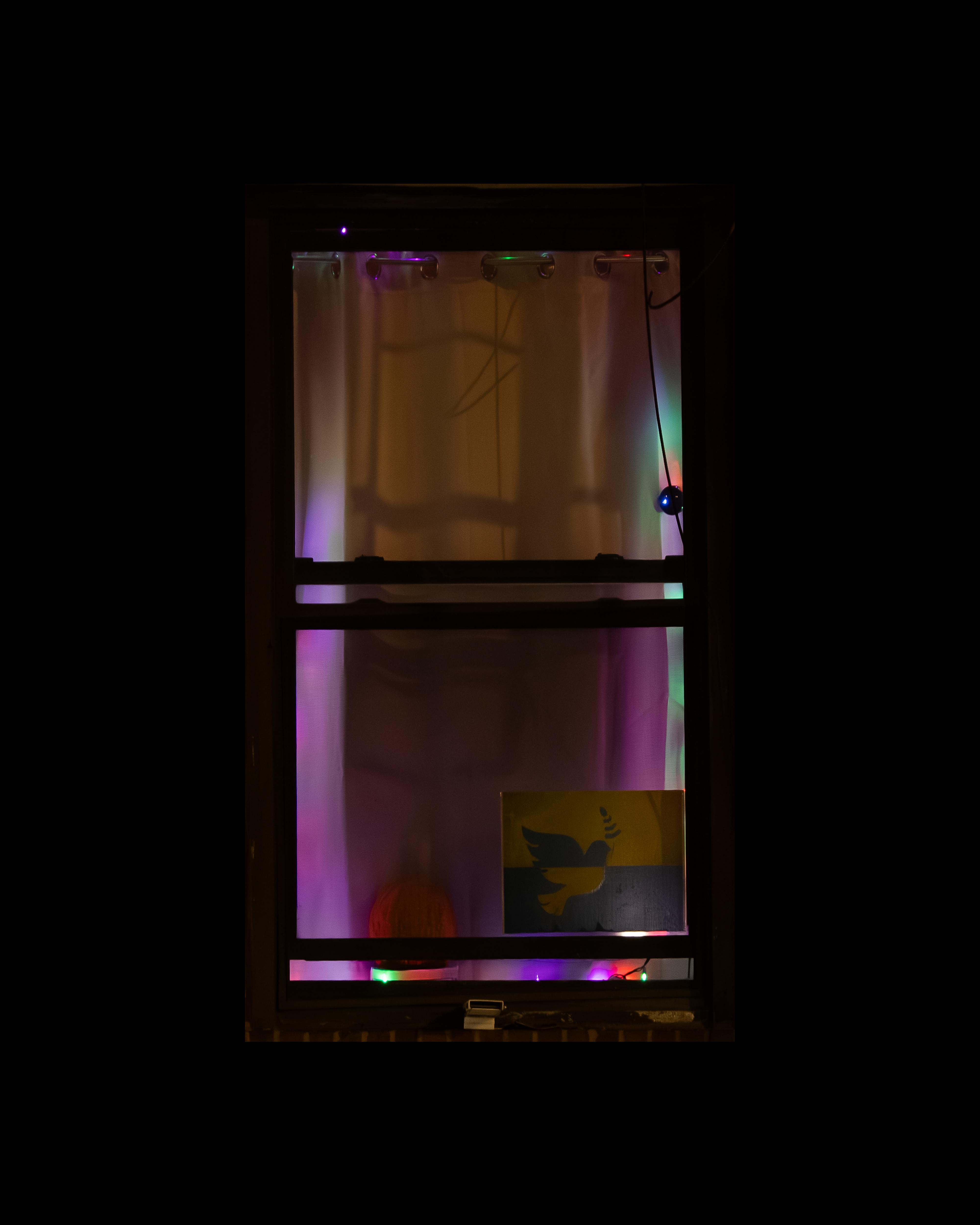 WINDOW 444