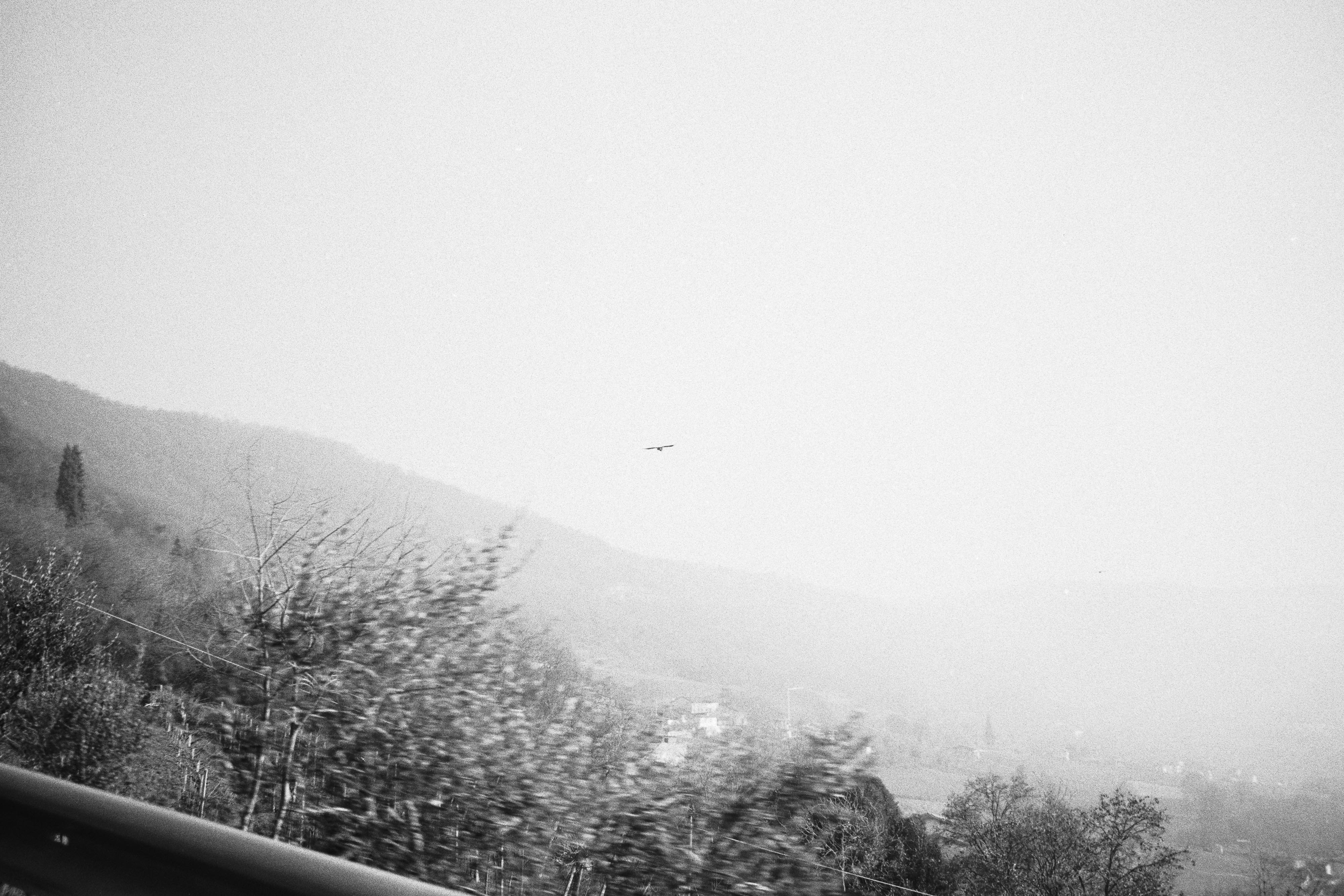 IMAGE 13