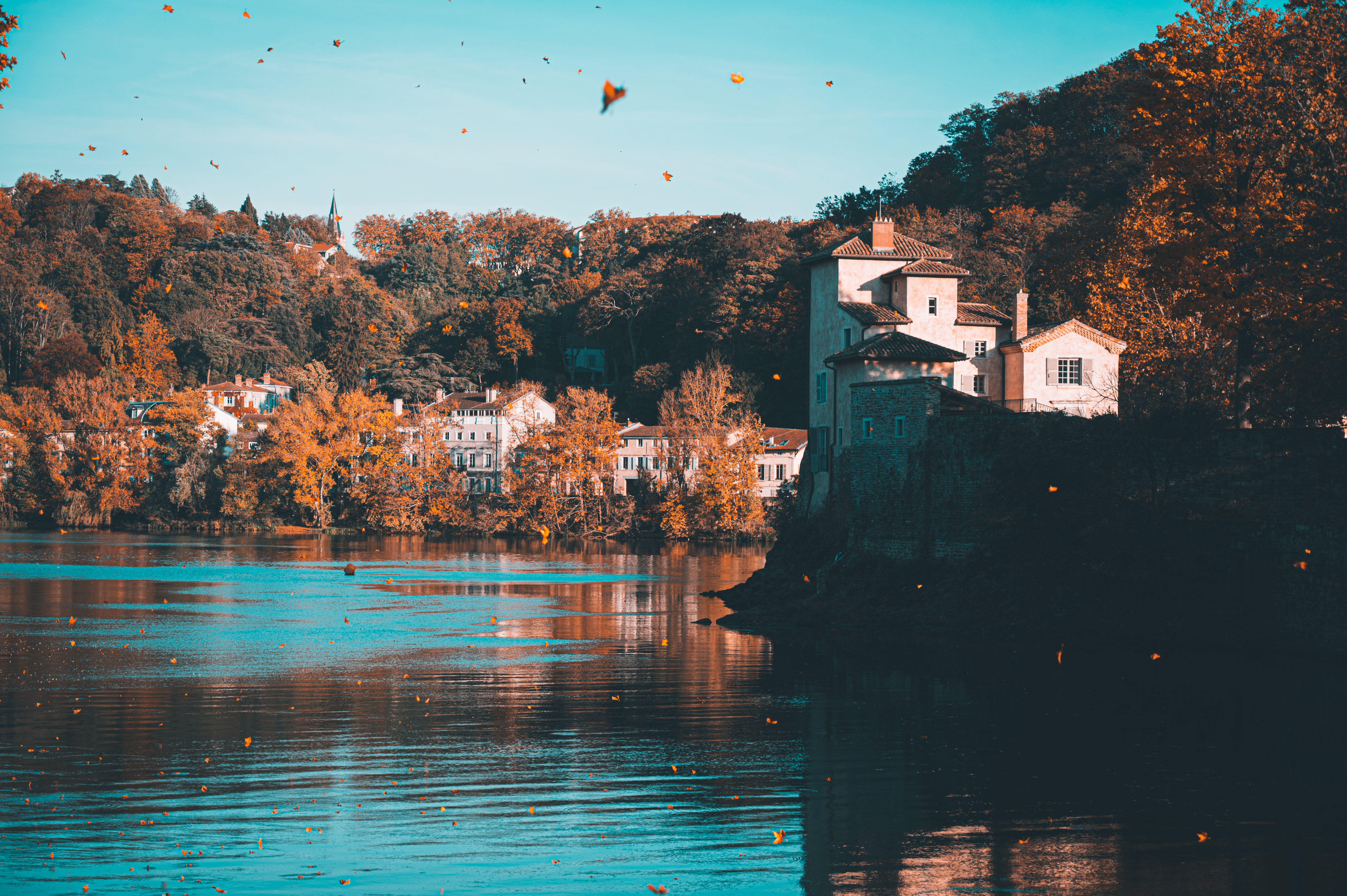 Autumn Vibes 🍁