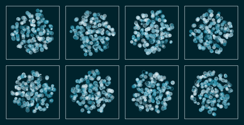 t-SNE #66