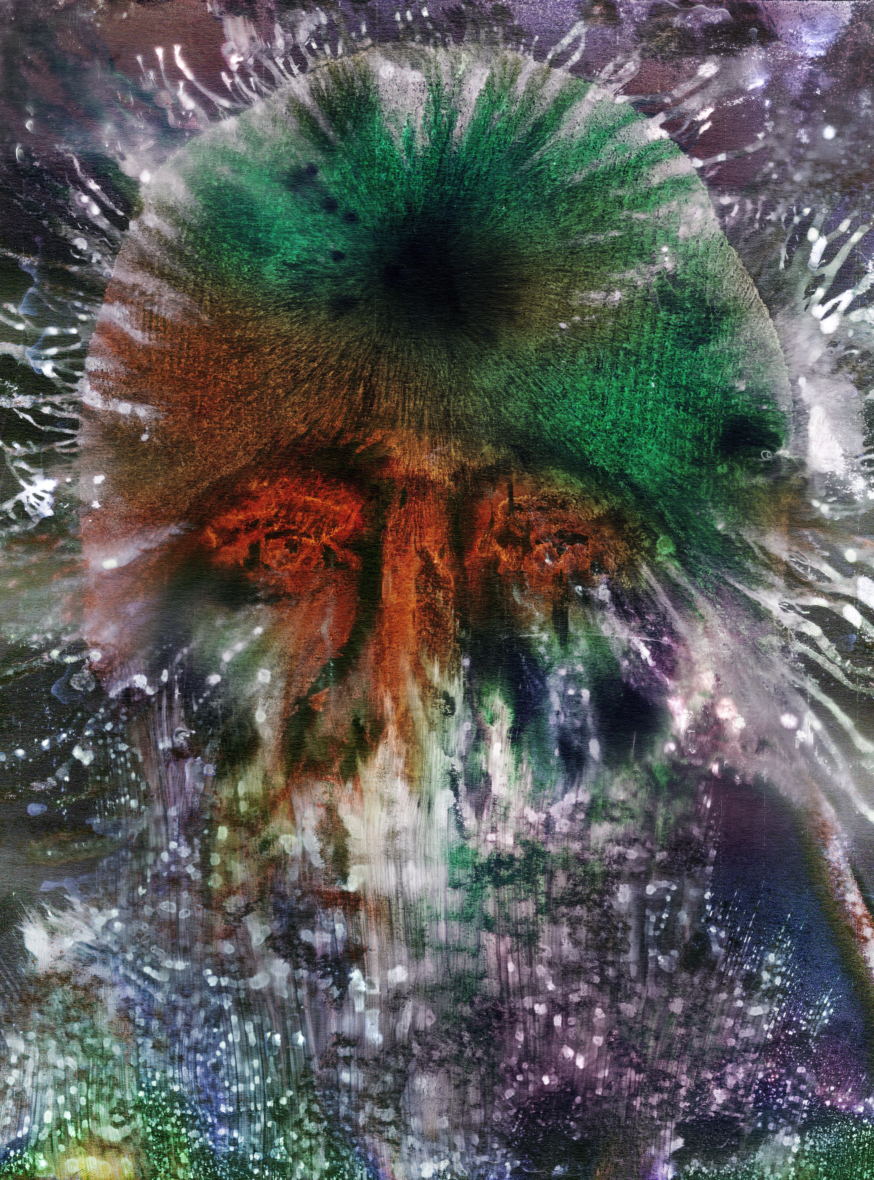 The Observer