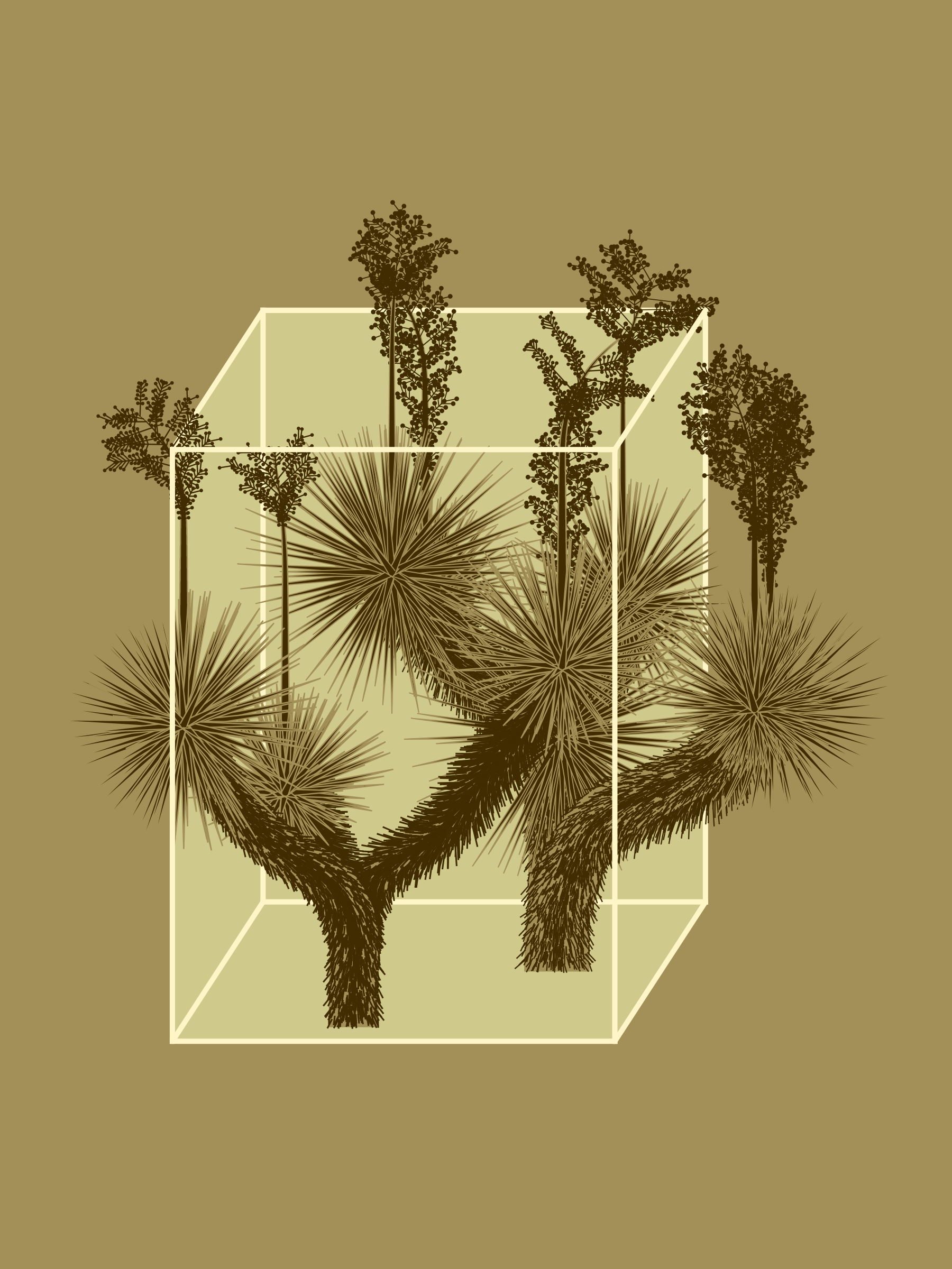 Marfa Yucca #199