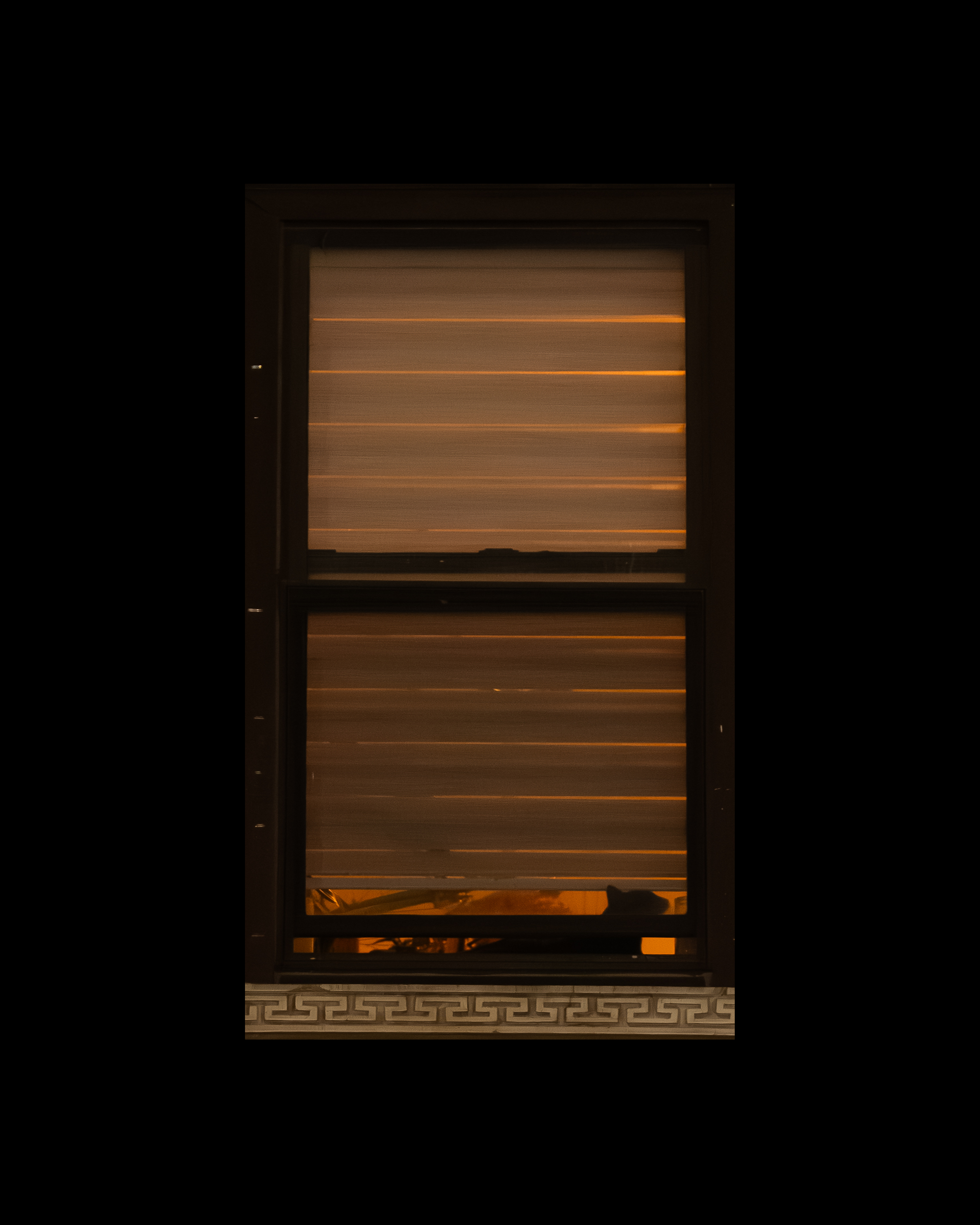 WINDOW 358