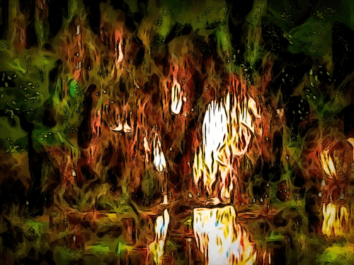 In to the Forest