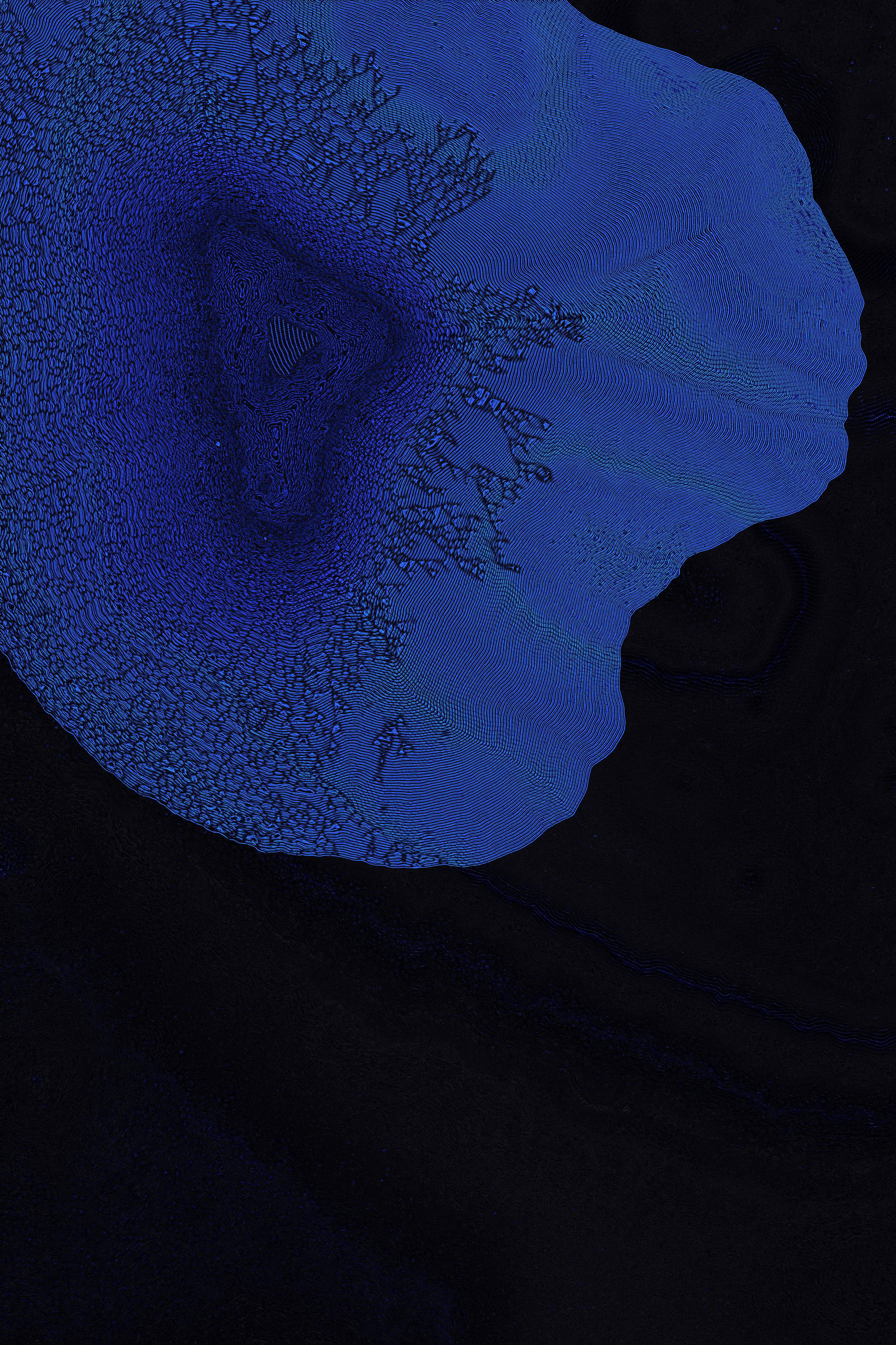 Dactylogram #68
