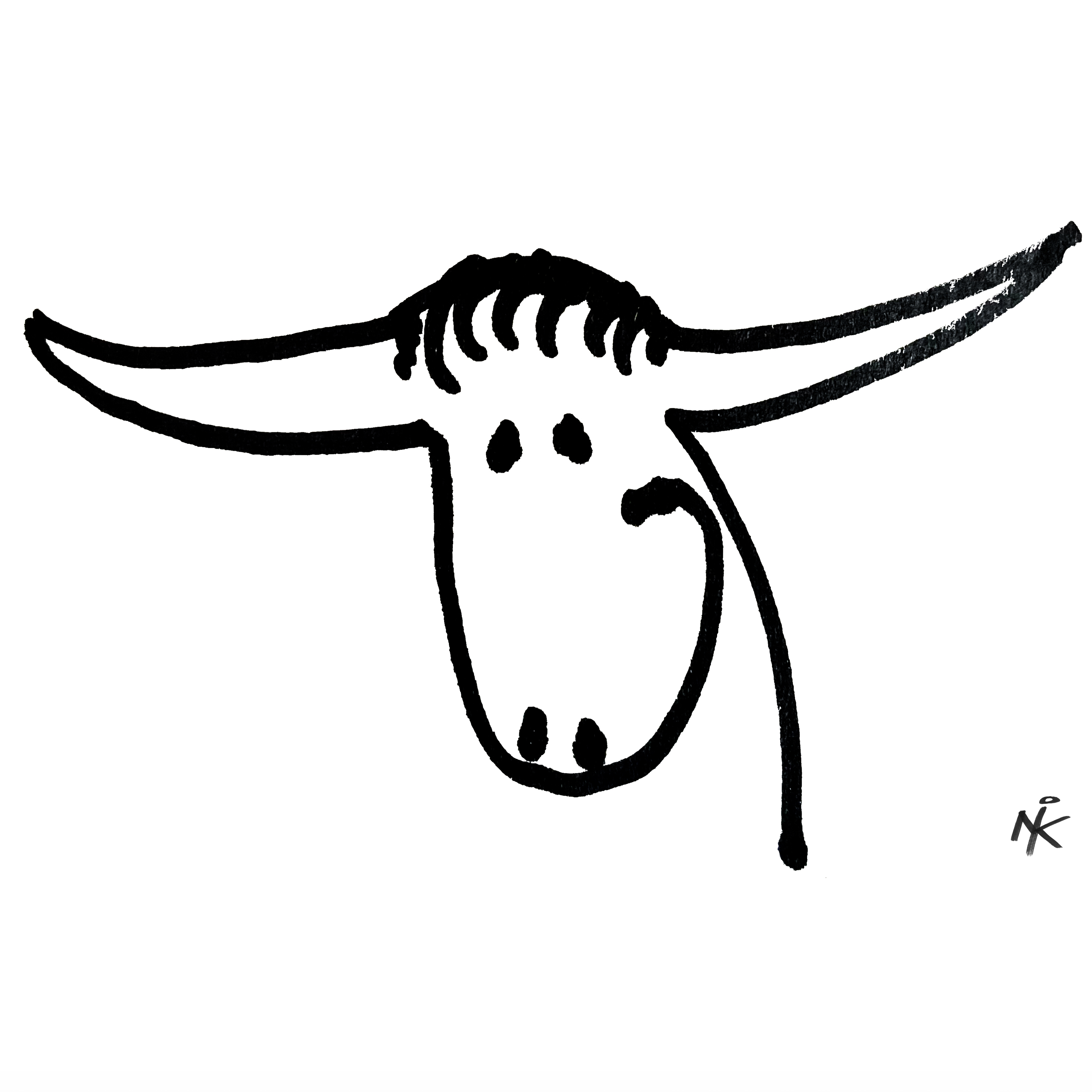 bull appears
