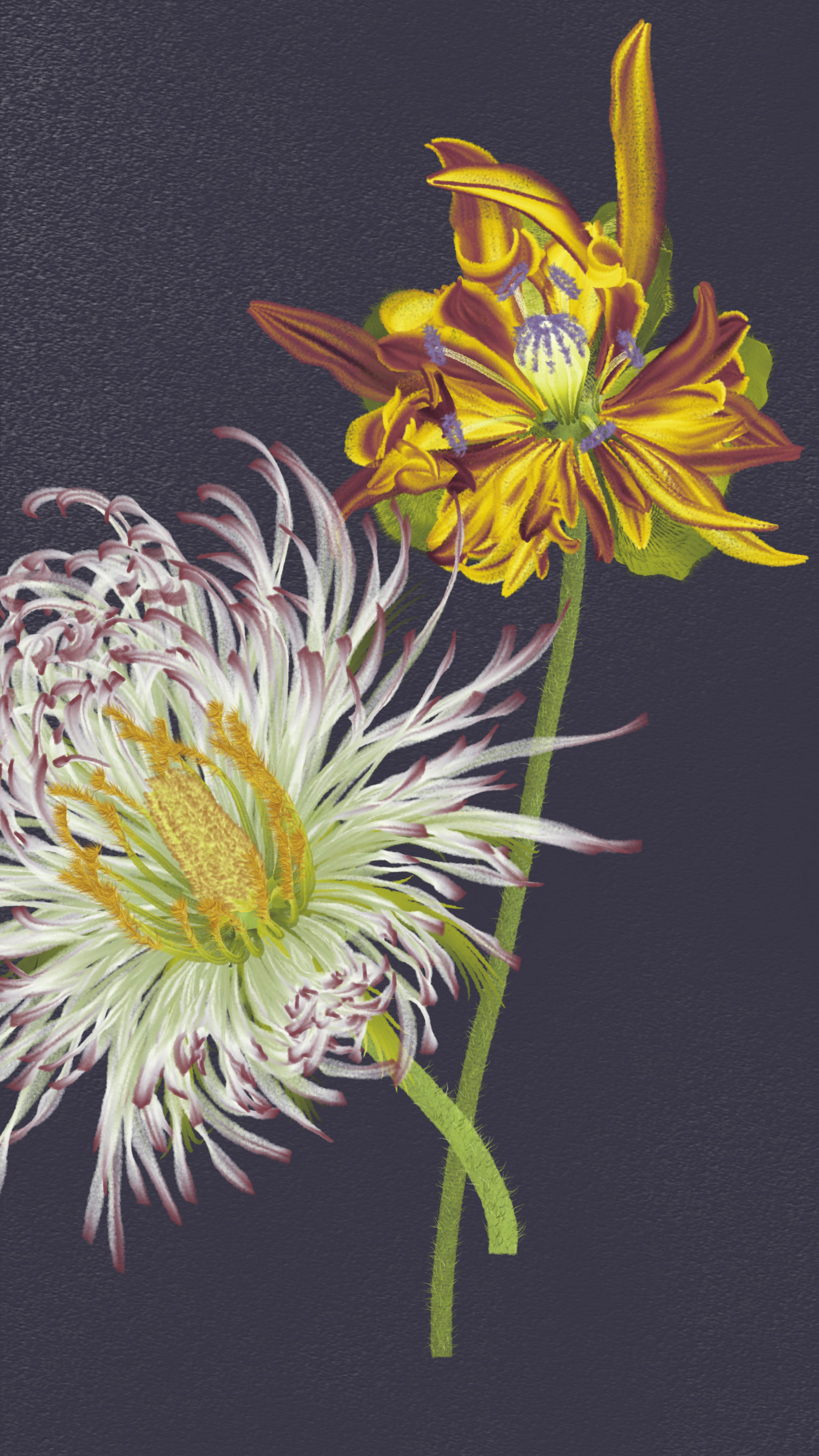 Delirium Blooms #29