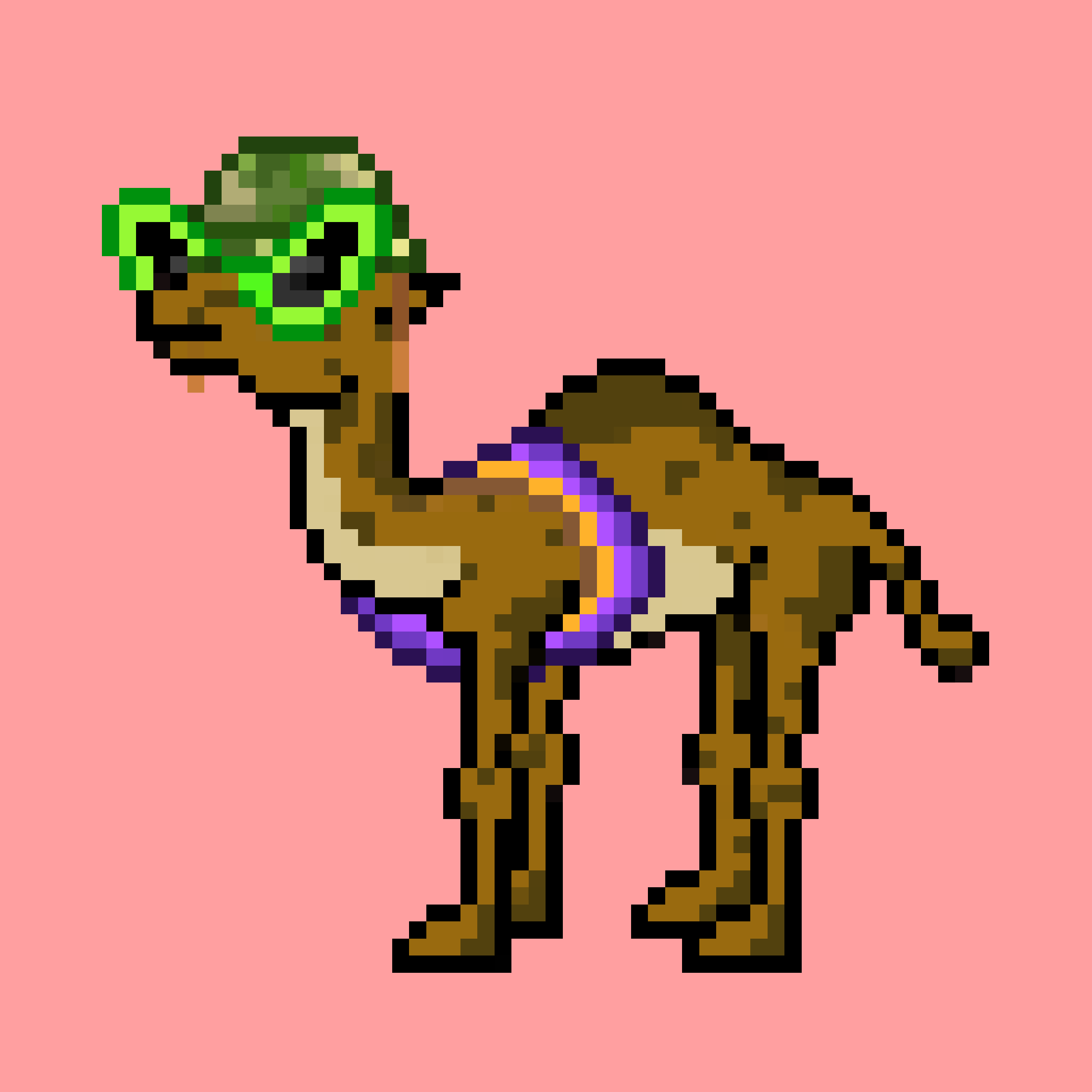 CryptoCamels #186
