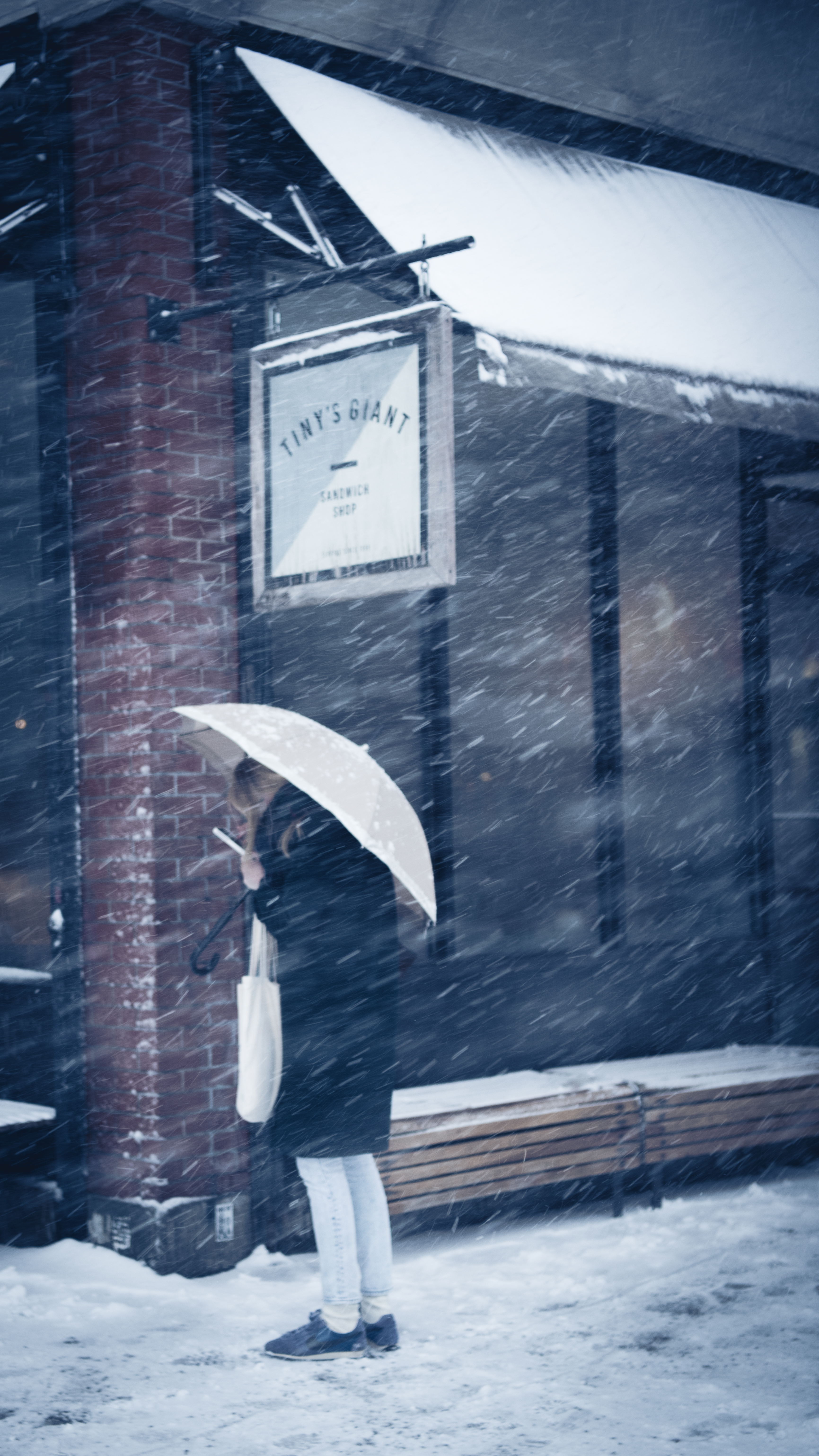 Snow Days In NYC - 15
