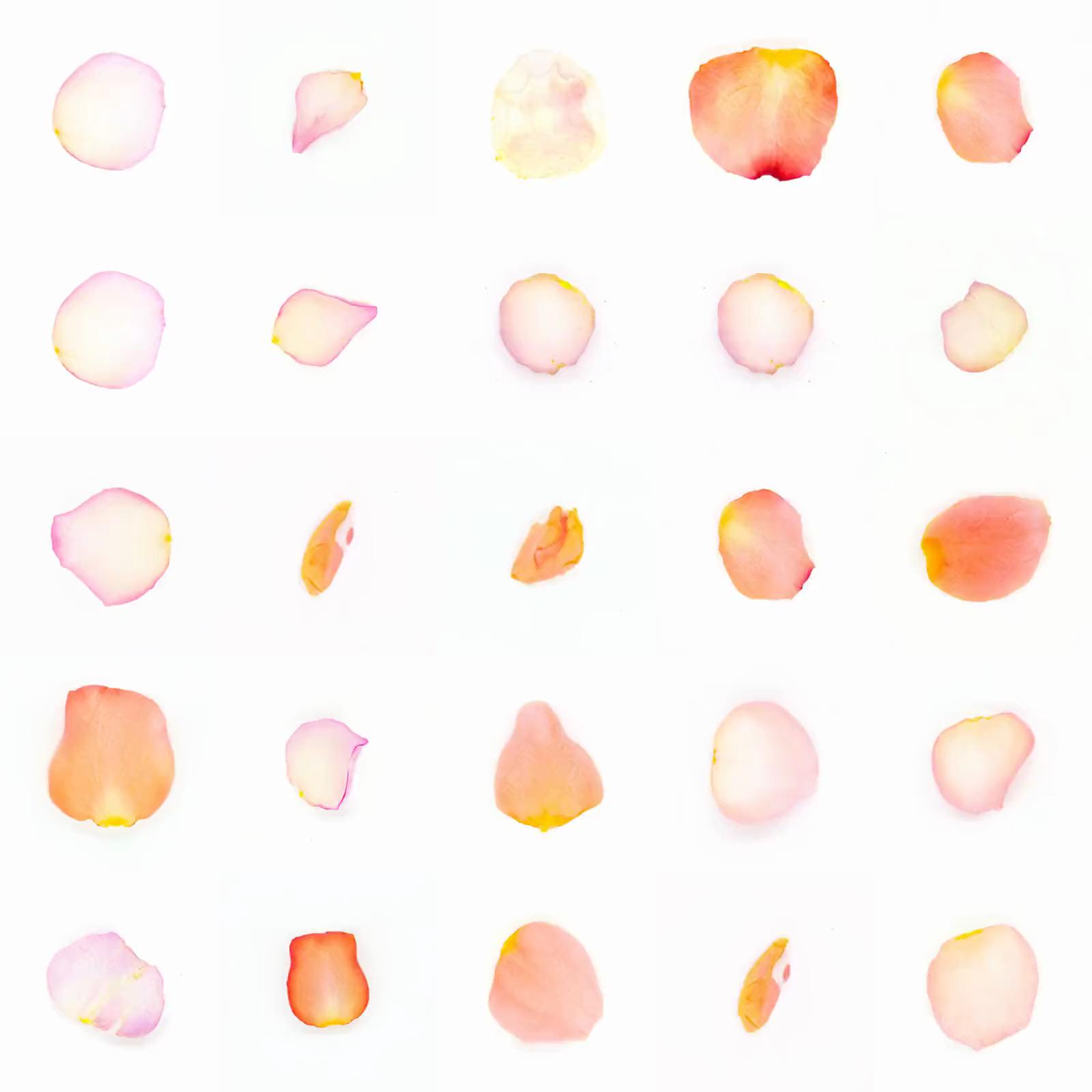 Infinite Petals 5x5#4025