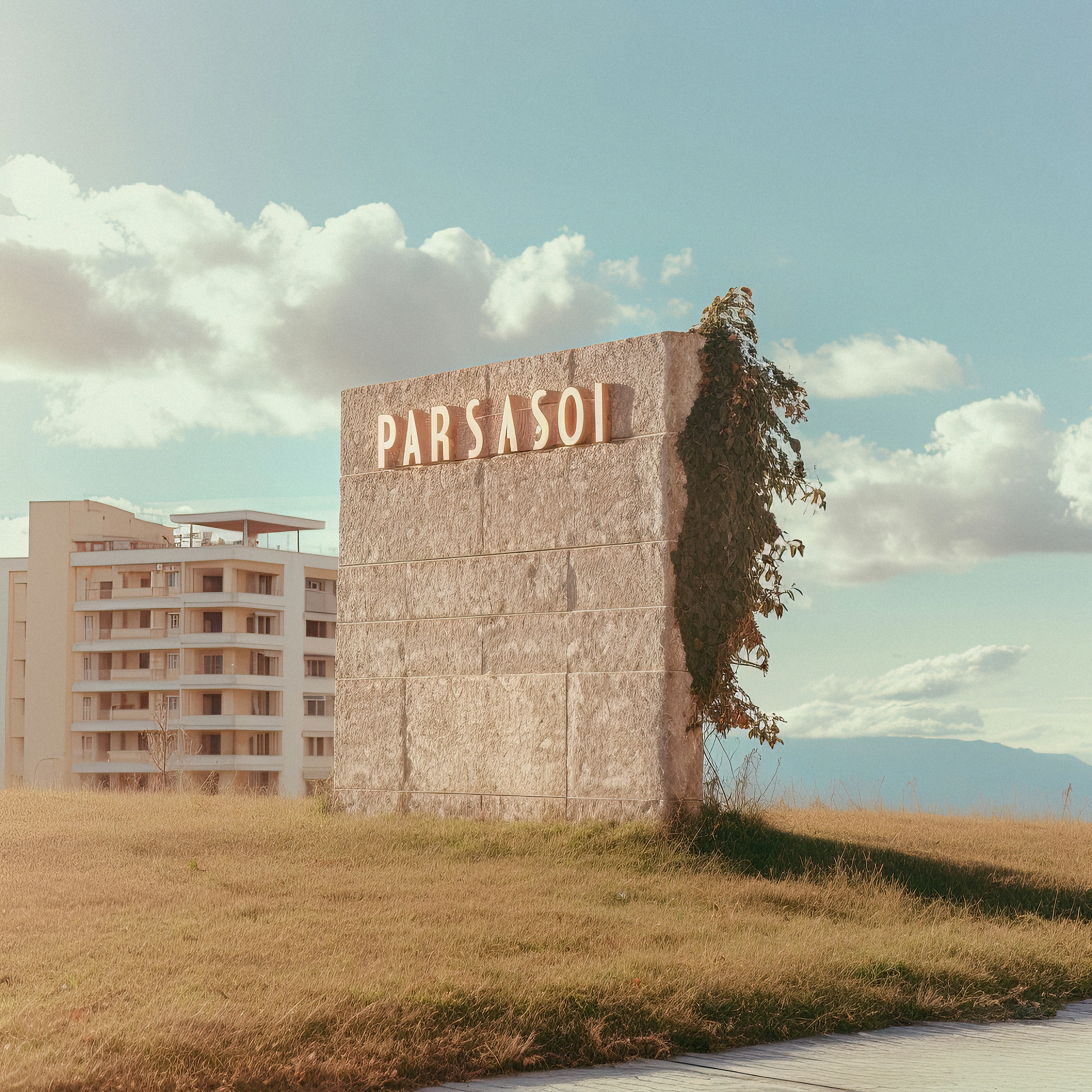 Parsasoi