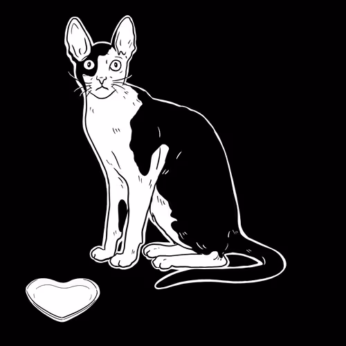 The Sad Cat #5812