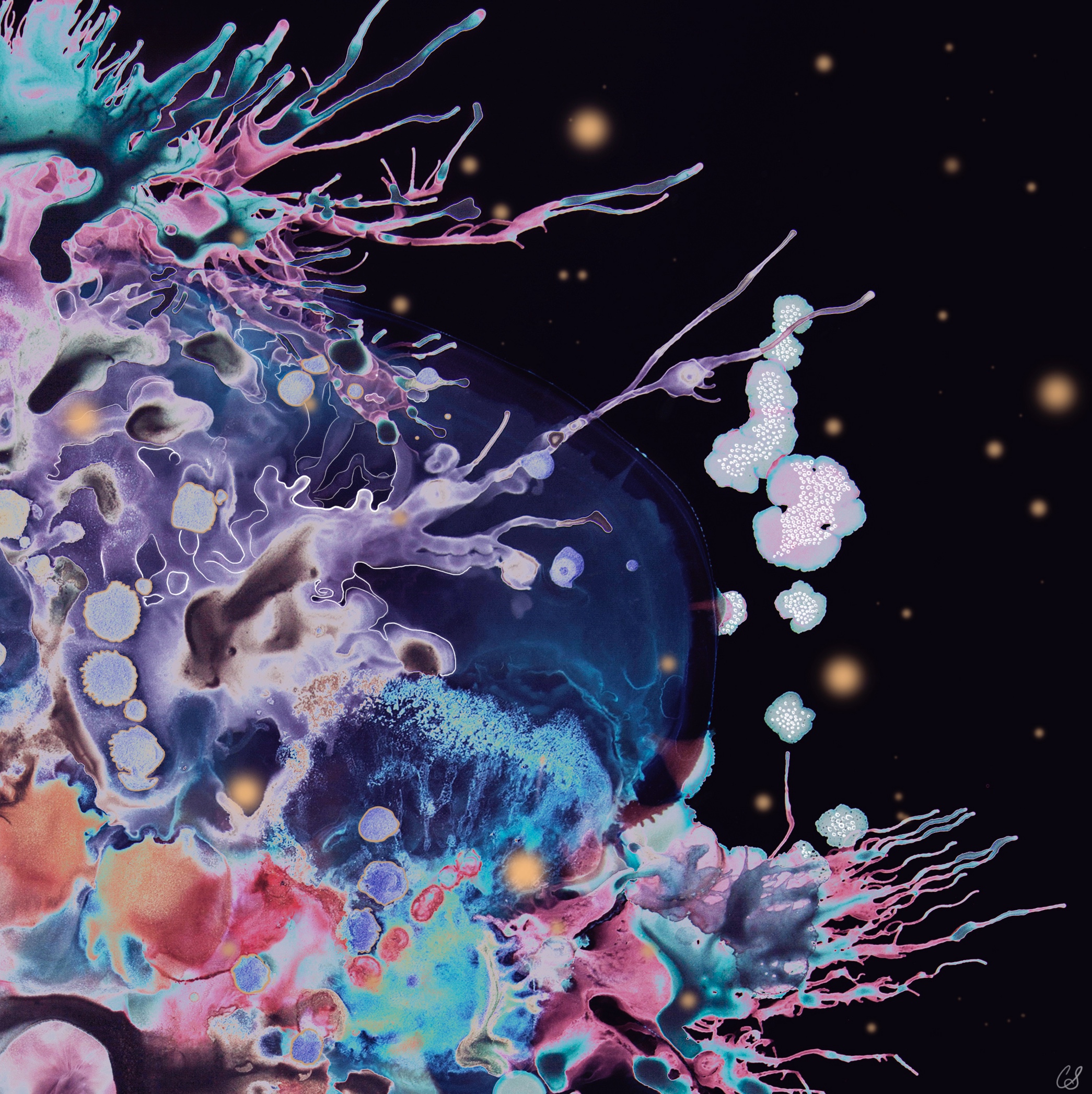 No. 7 Luminescent