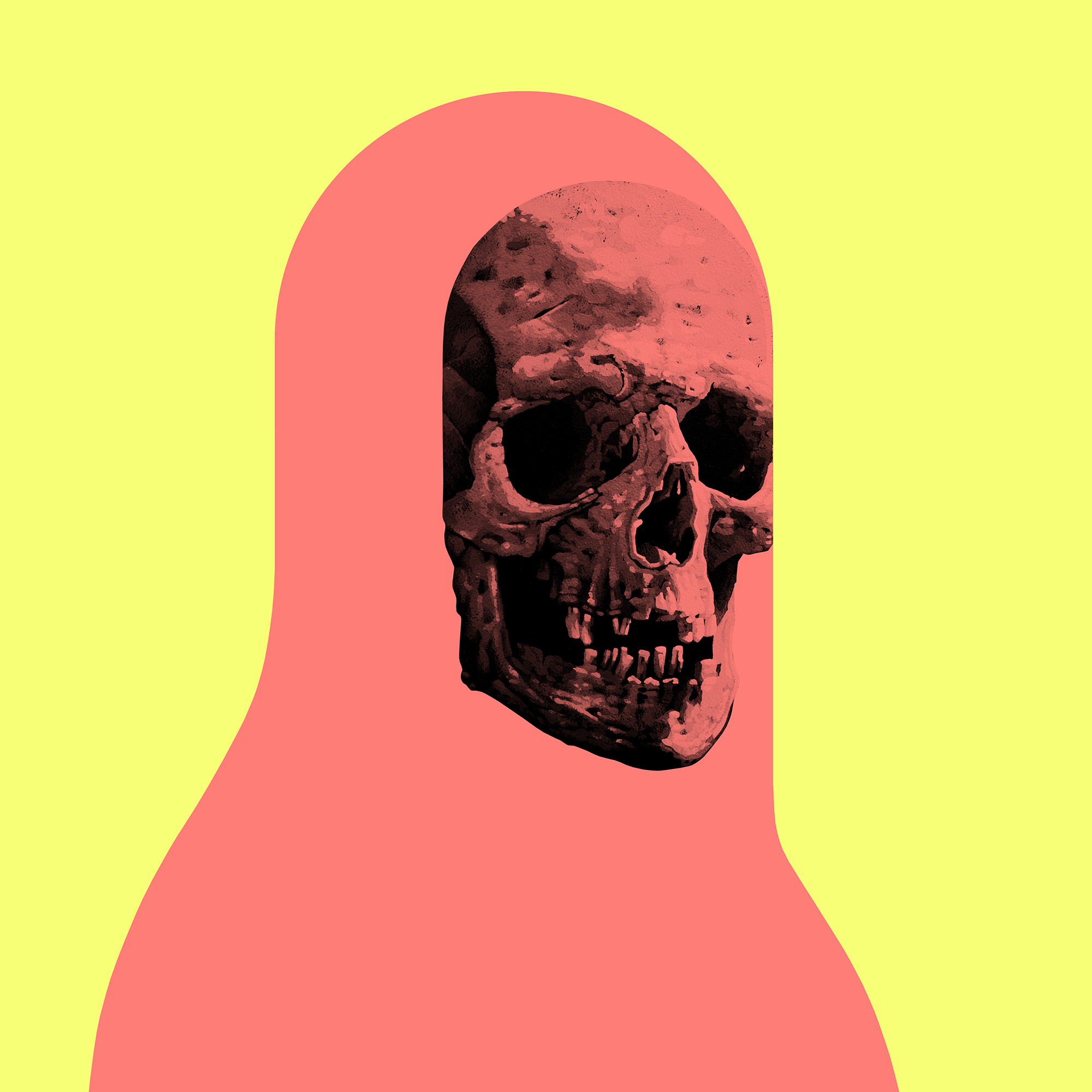 Cyber Bandit #376