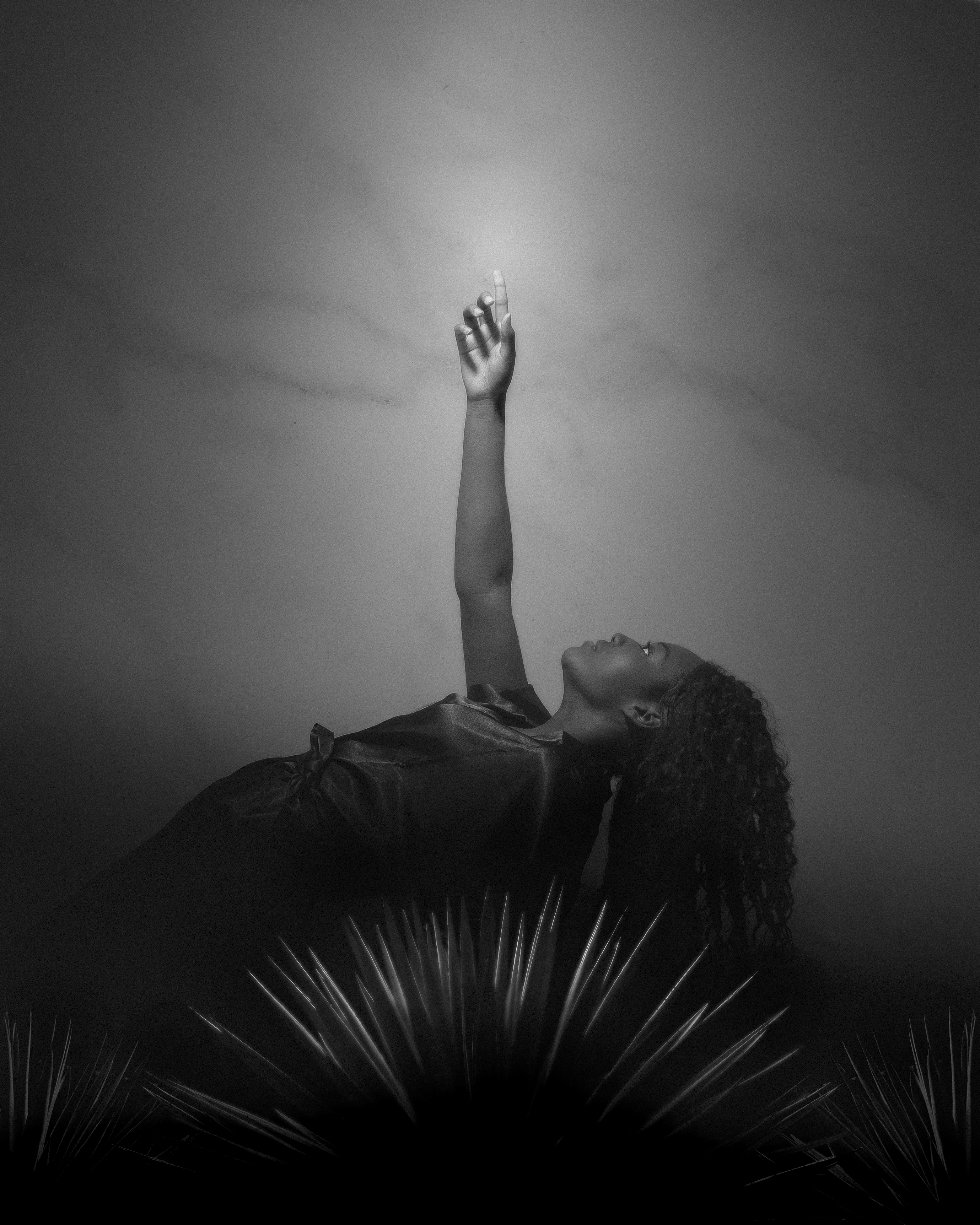 BELLUM