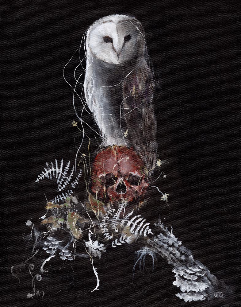 Owl & Skull