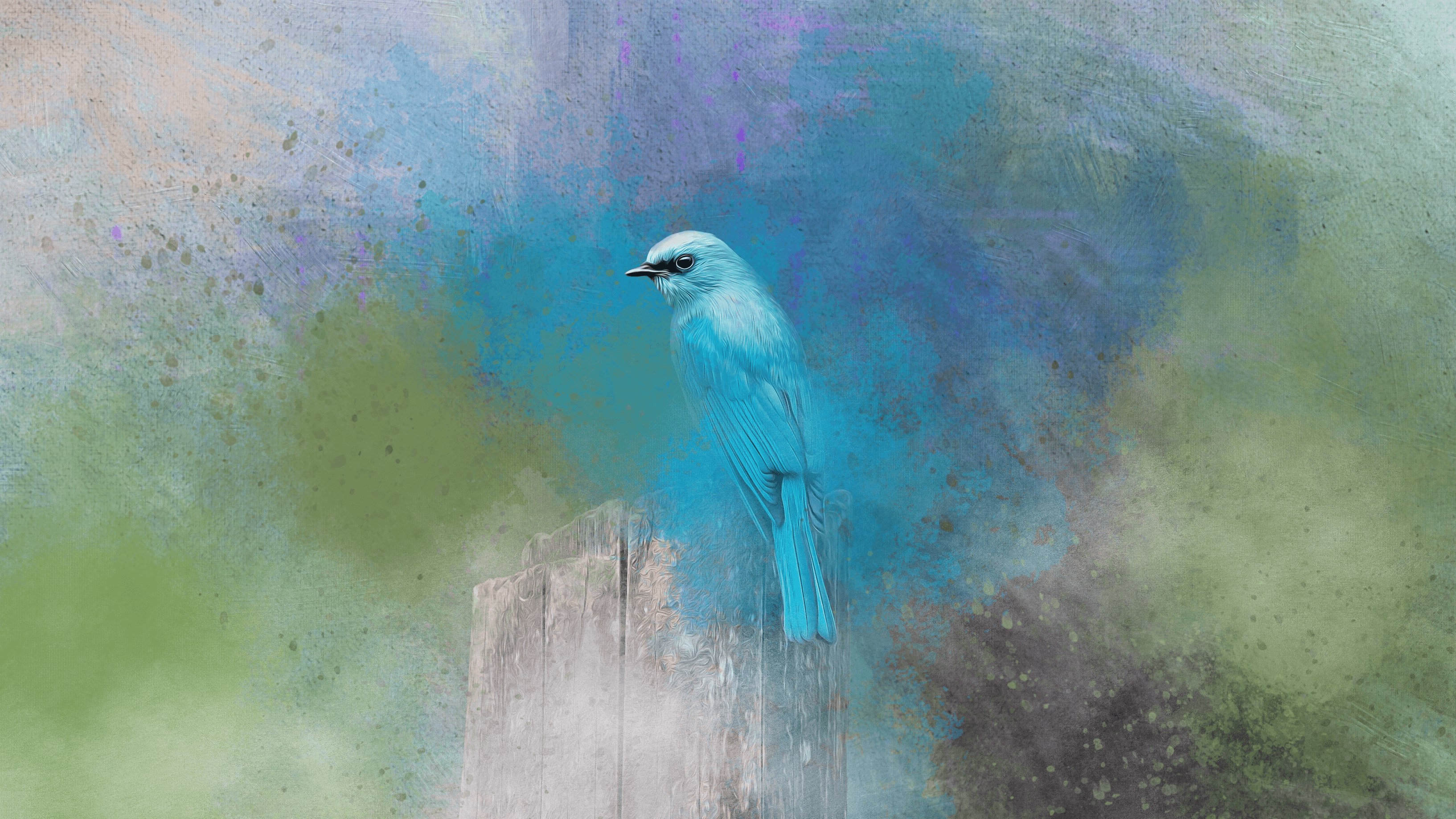 #05 Verditer Flycatcher