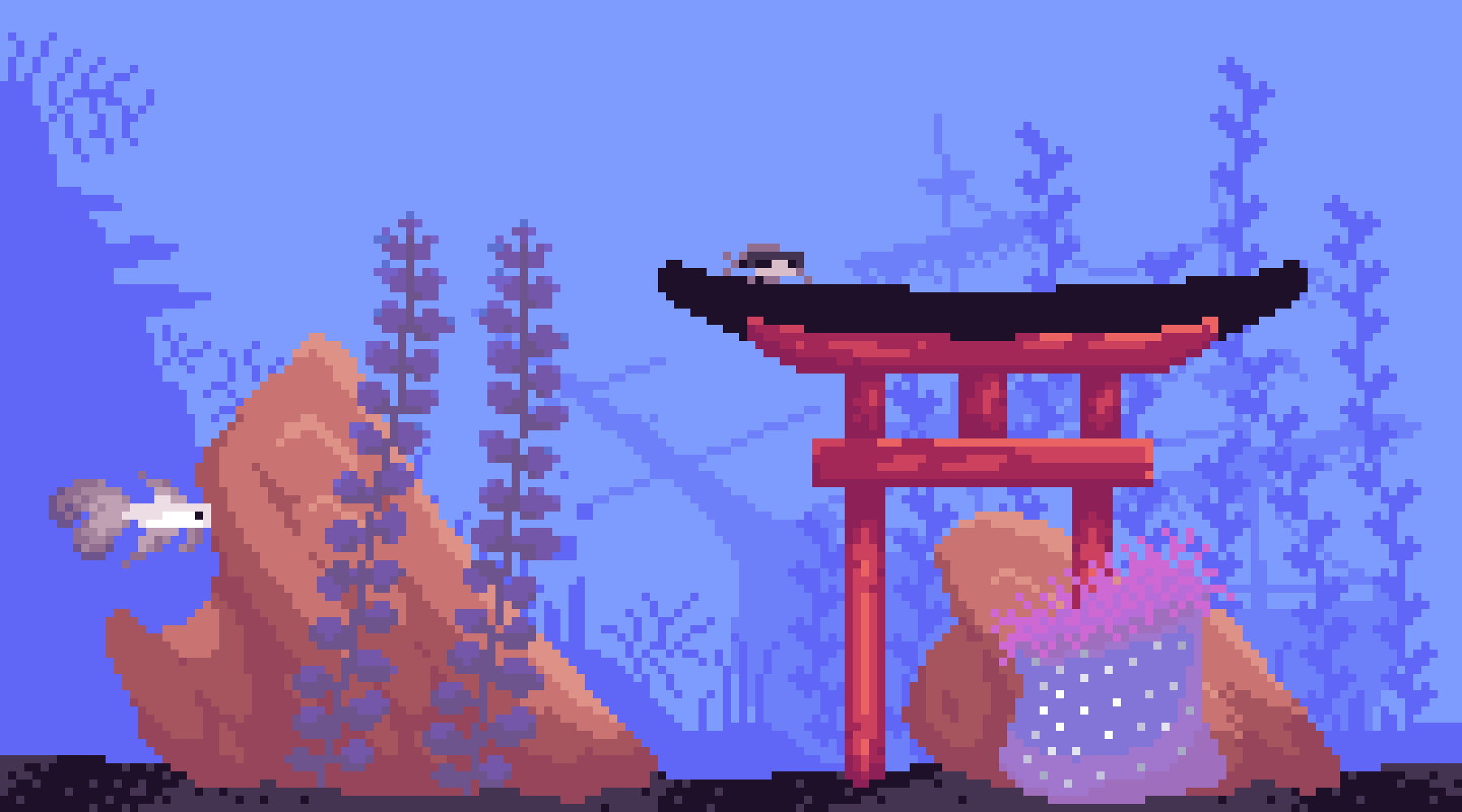 The Fish Tank 0030