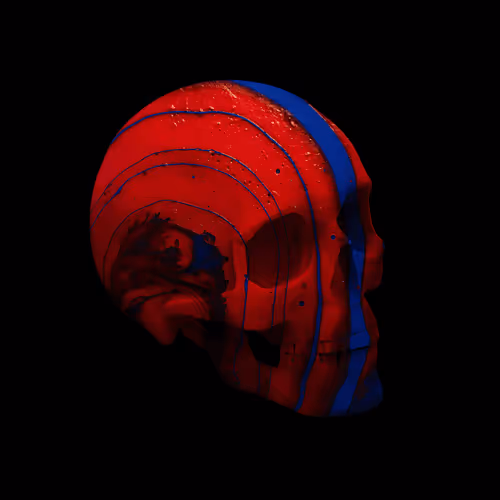 Skulls By Pierre #17