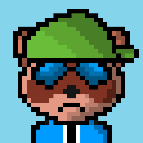 Raccoon #71