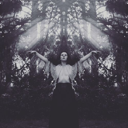 Photo #85