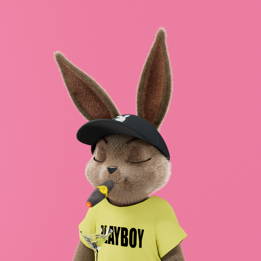 Rabbitar #10507