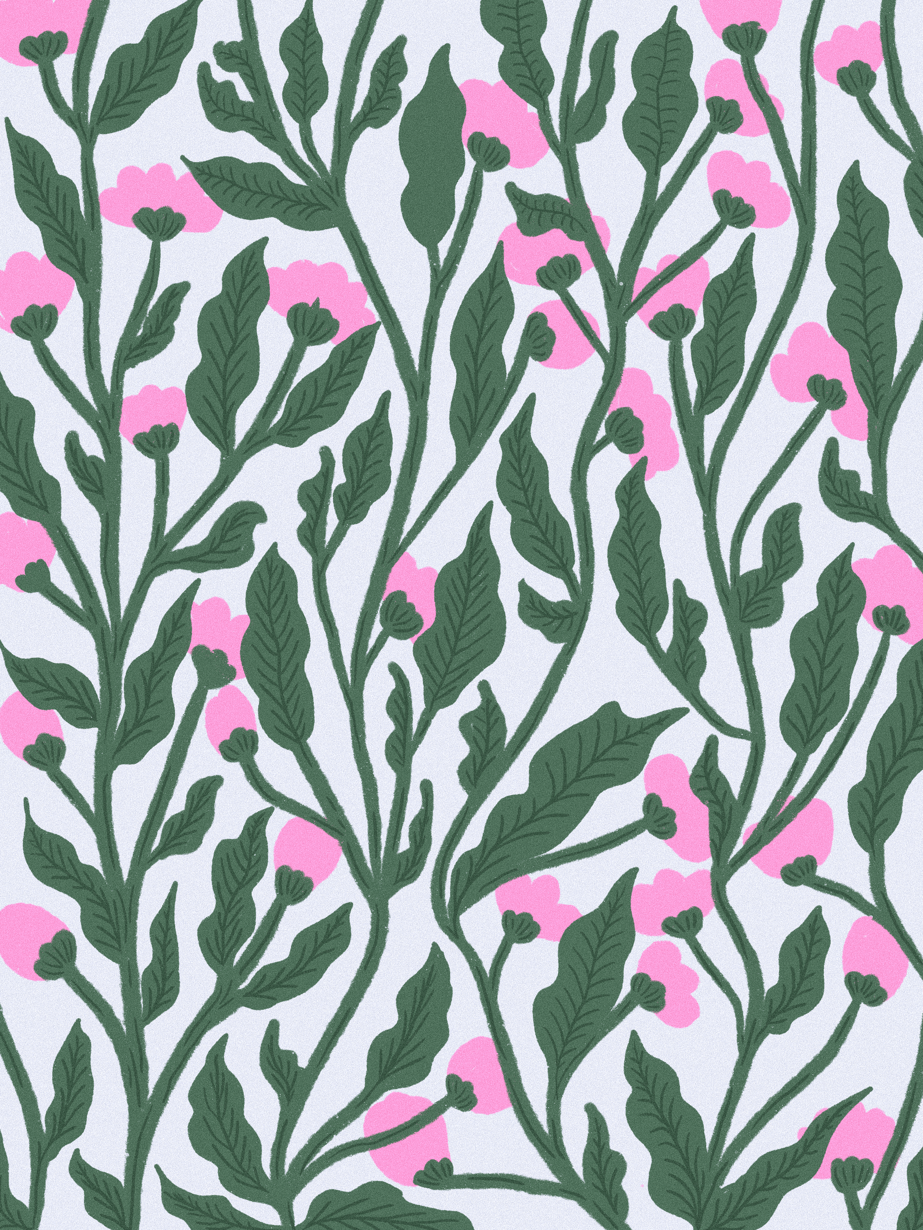 Tonic Hibiscus : Rose 