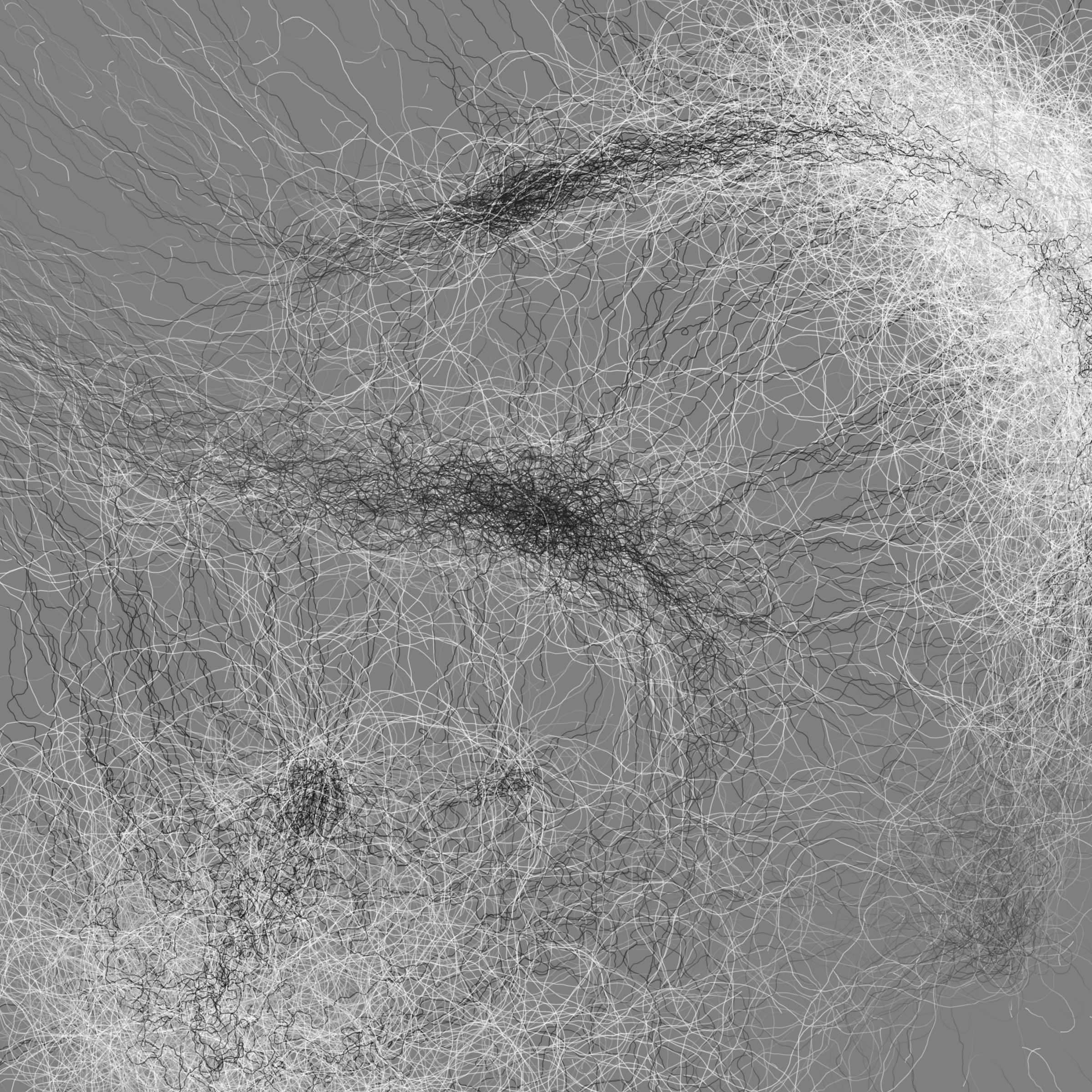 Phototaxis #776