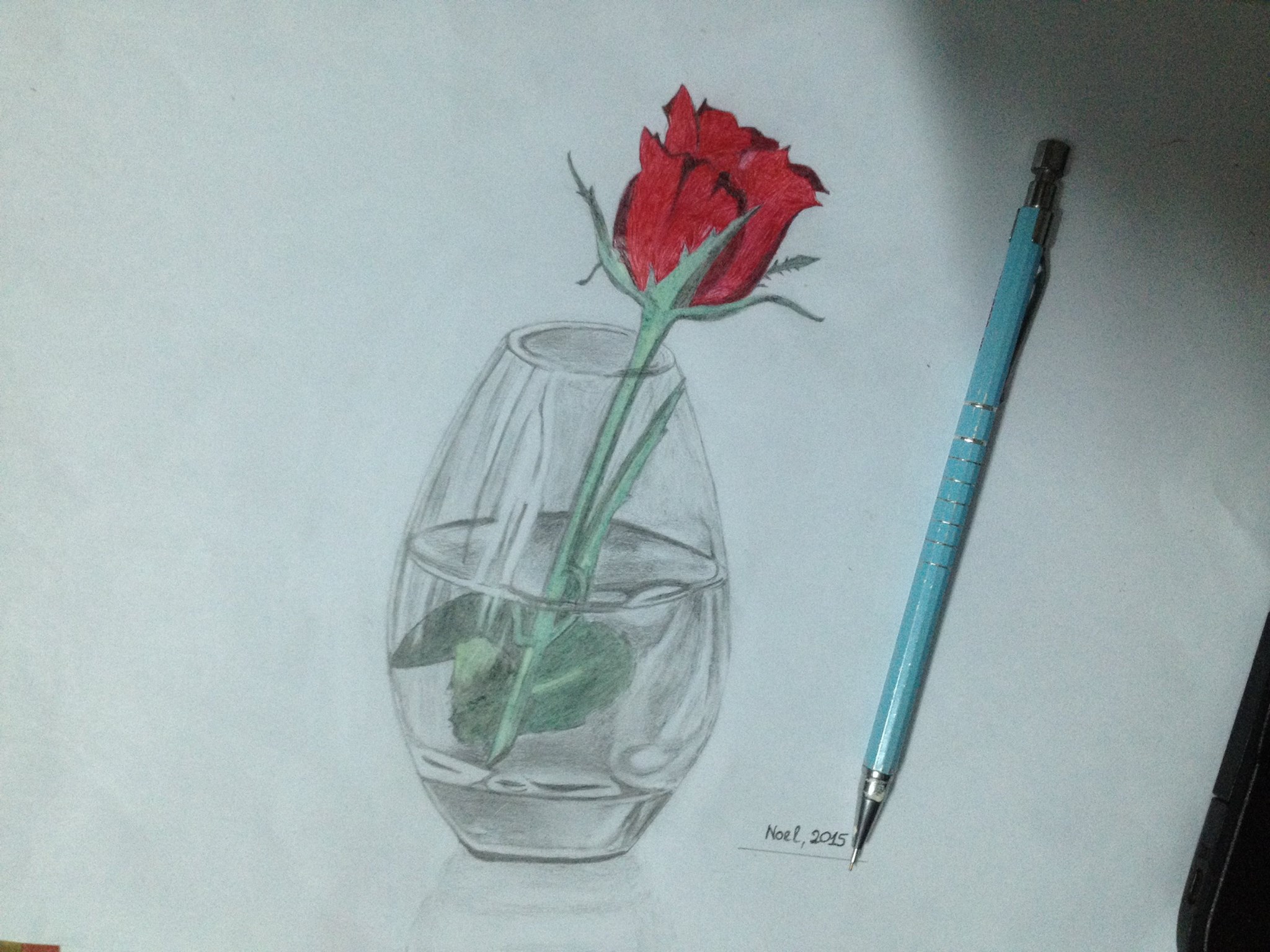 Rose