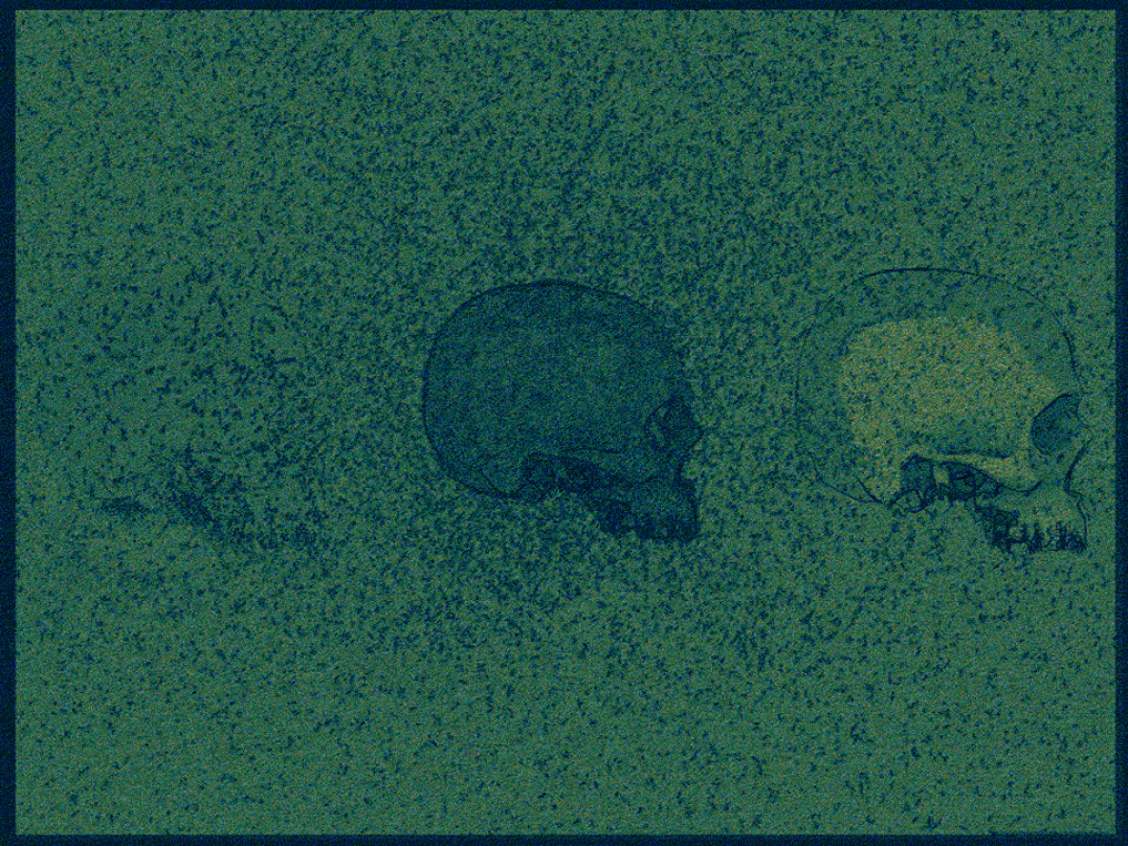 Algae