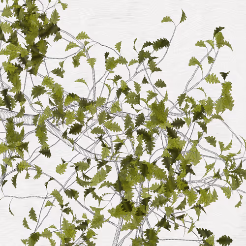 The Oak Tree part #+1,+1