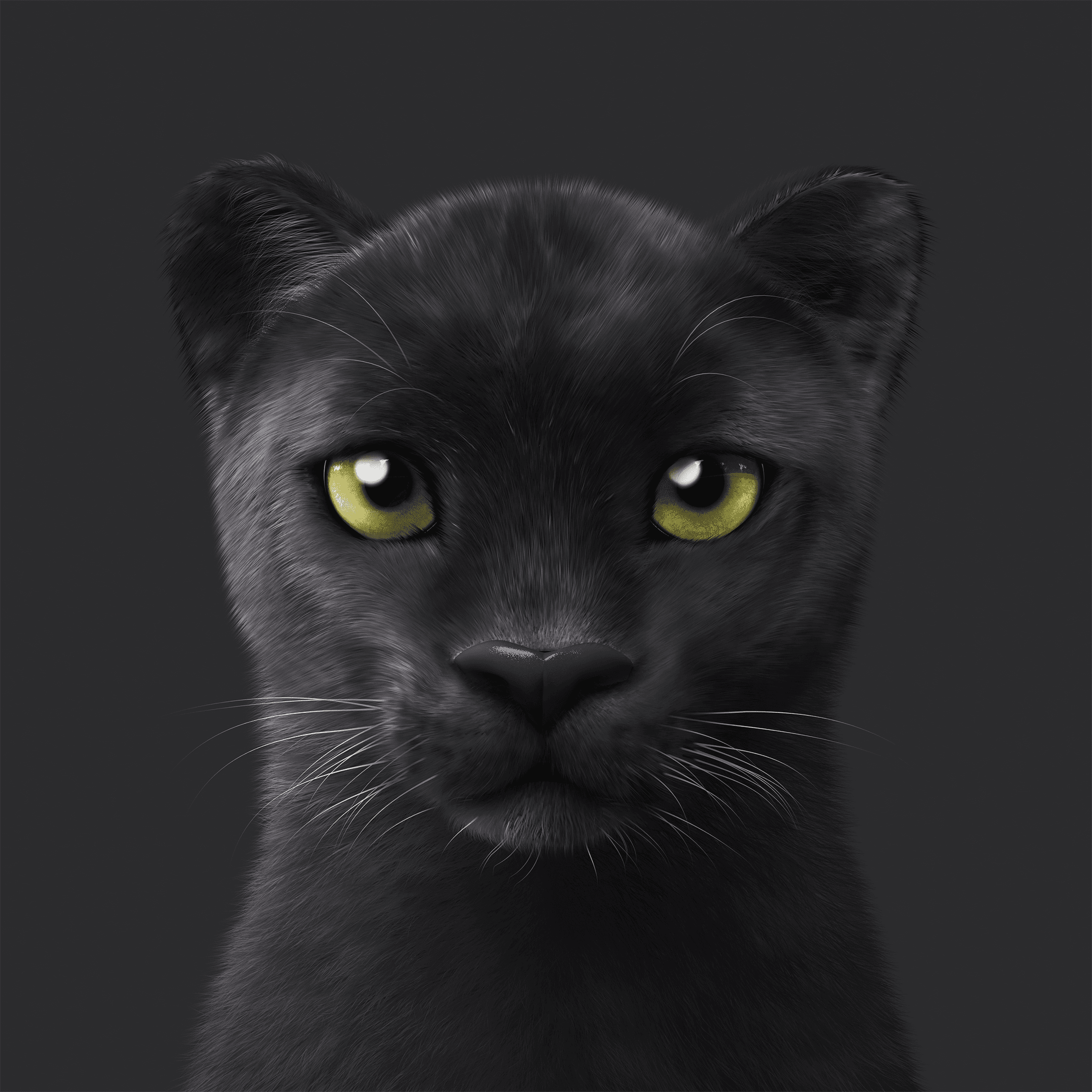 #401 Blacky the Black Panther
