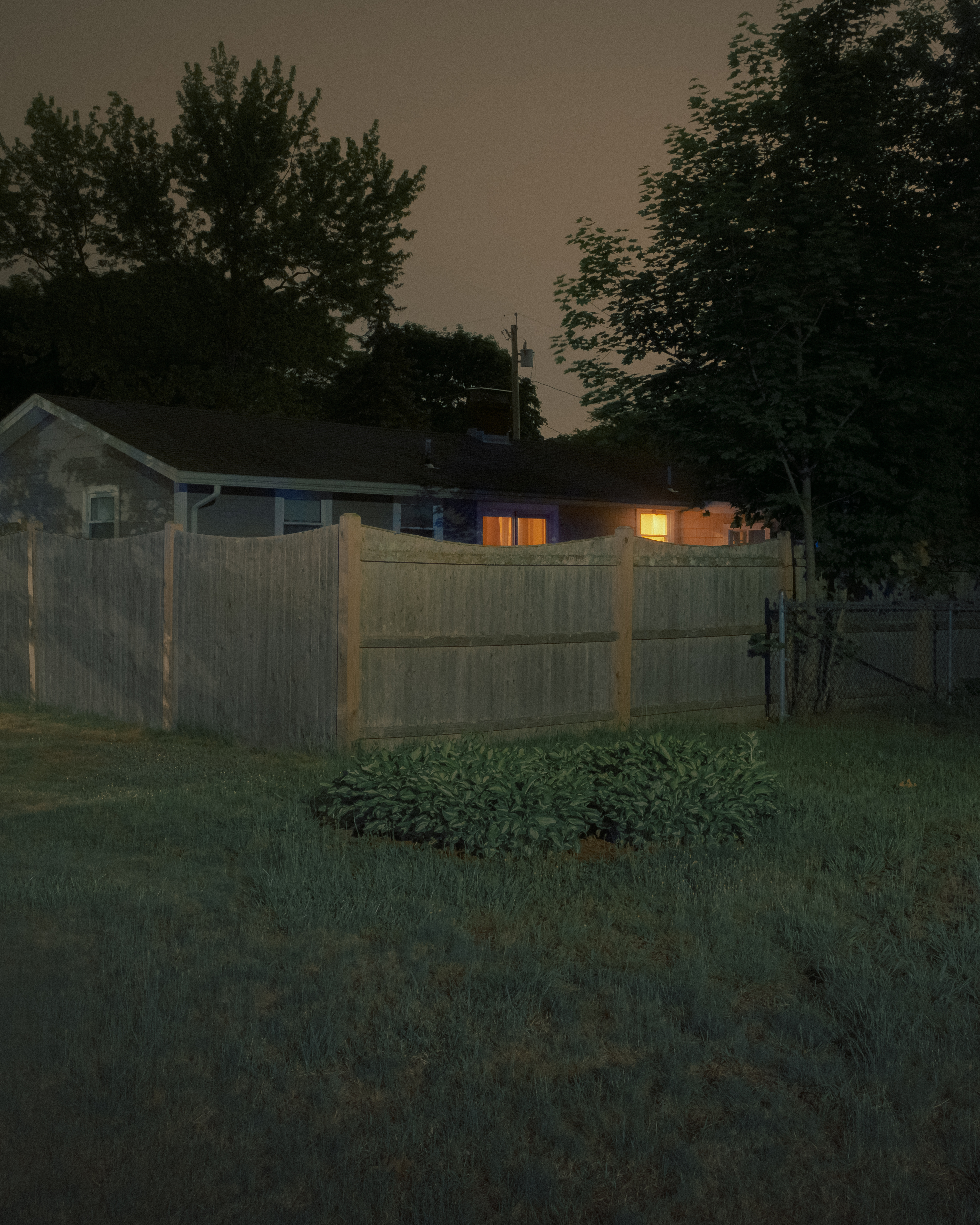 Lawn Care