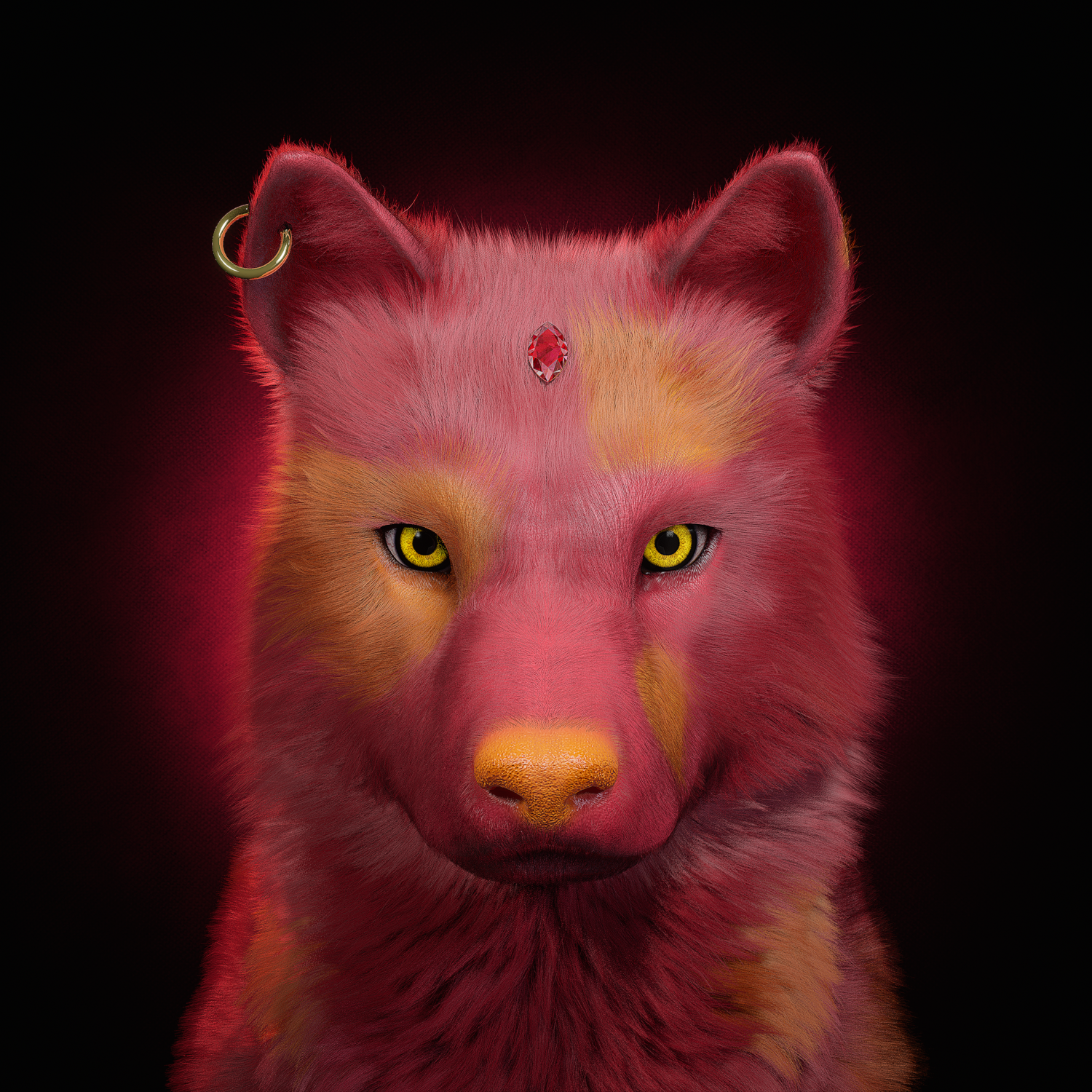 Wolf #3