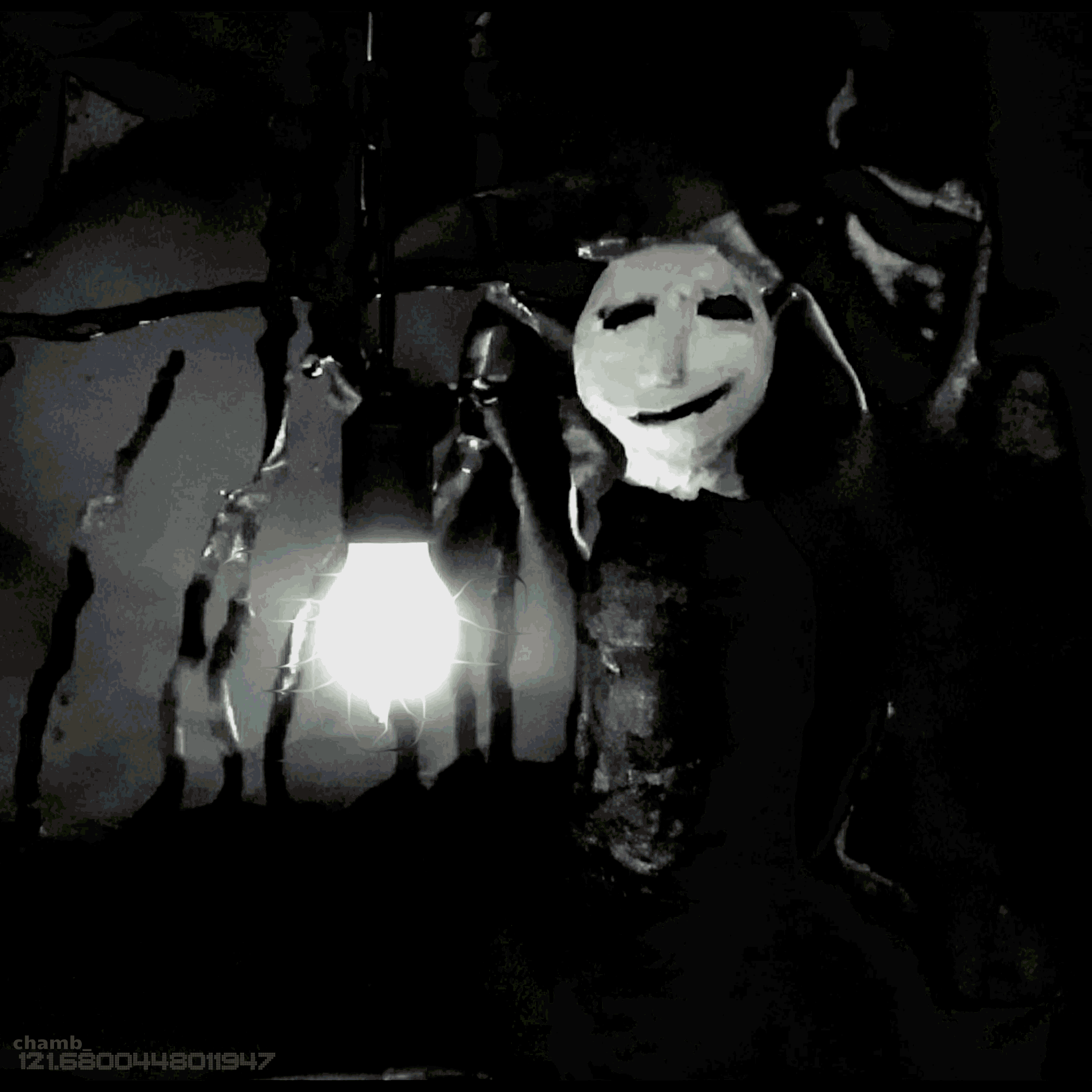 Chamber ︹