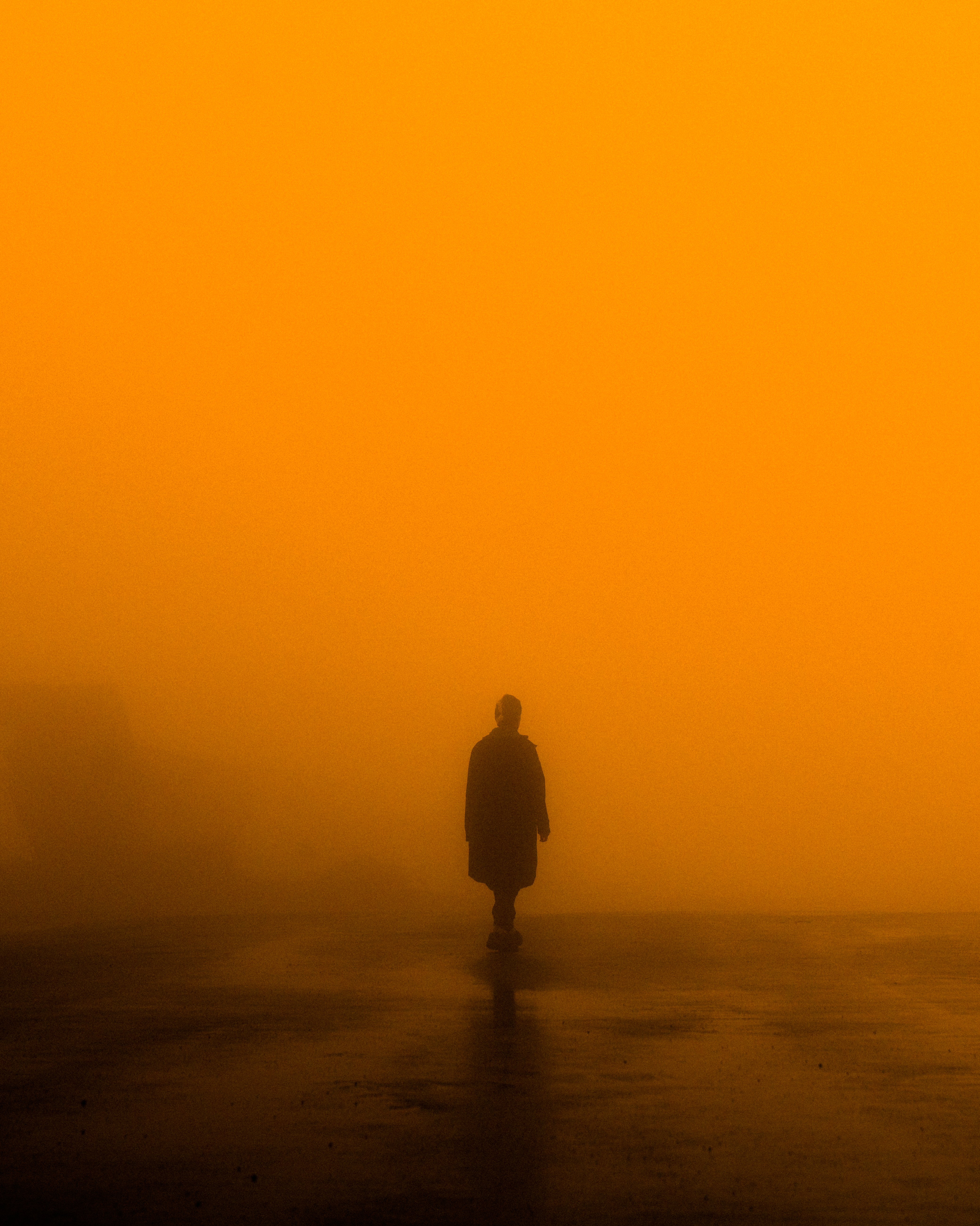 Untitled 06