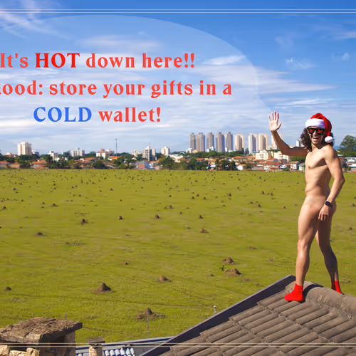 Summer Santa