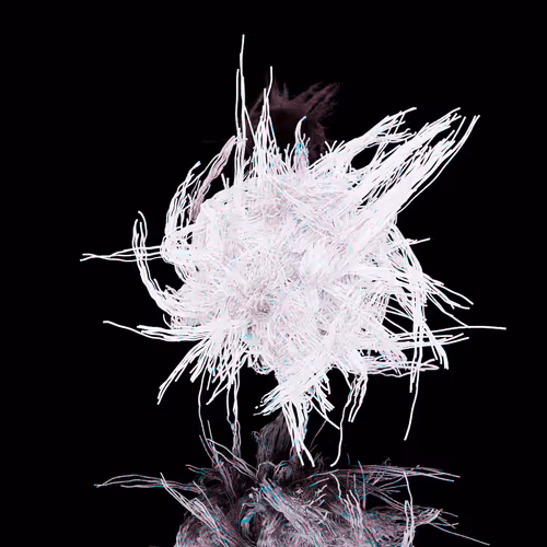 FOLLICLE V2 #27