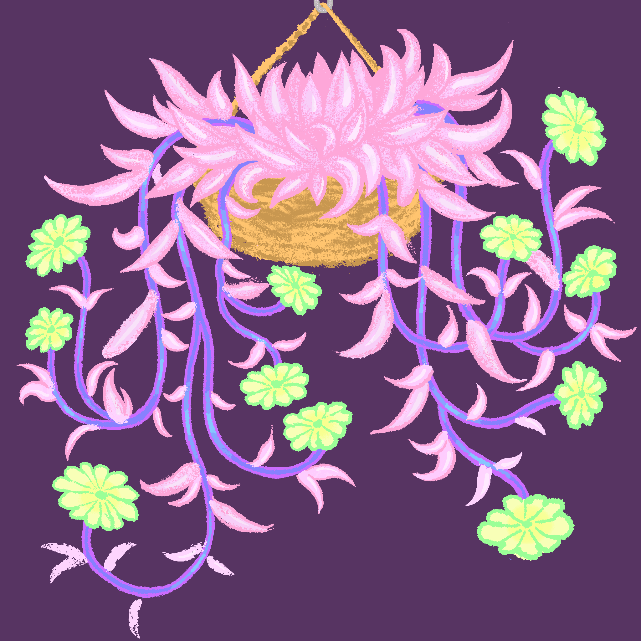 bloom 65